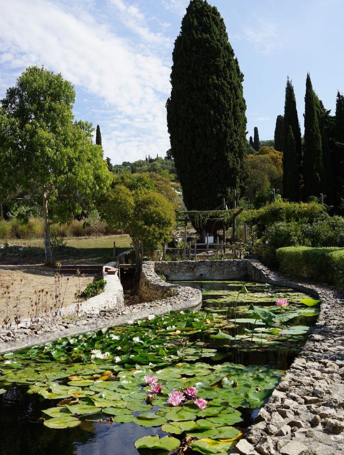Perfume garden in Grasse France