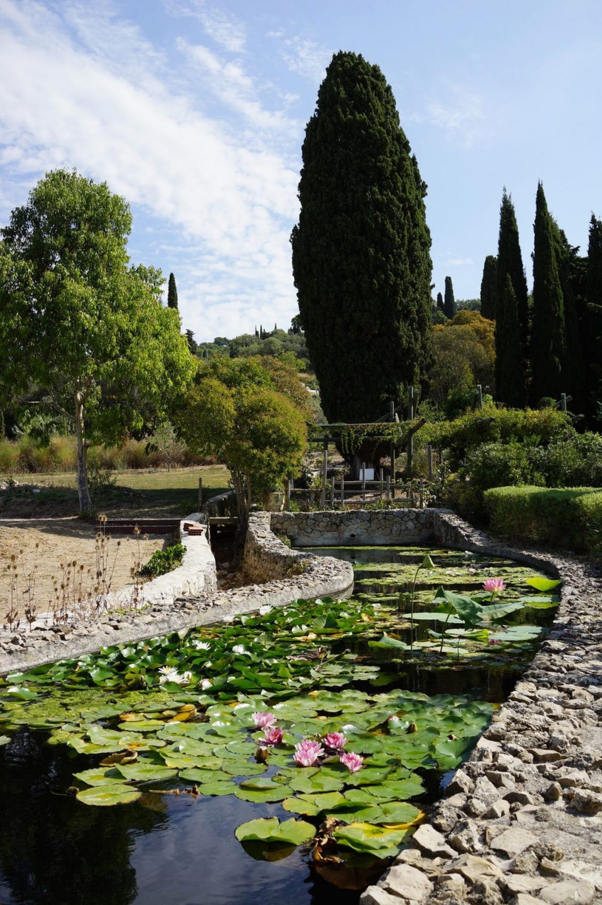 Perfume garden in Grasse France