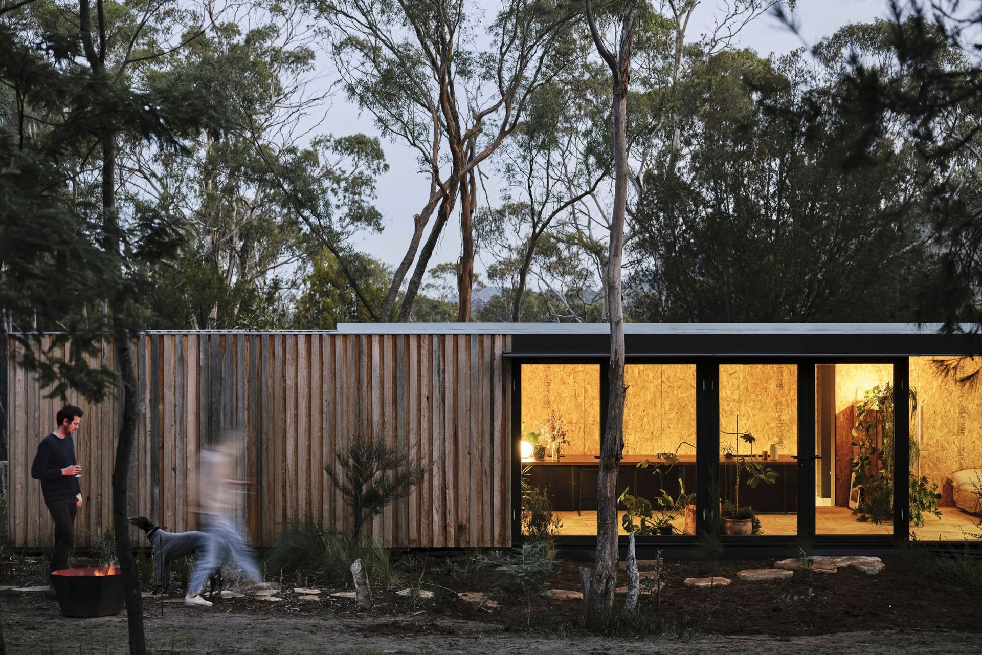 Josh FitzGerald pictured | Photo Credit: Adam Gibson