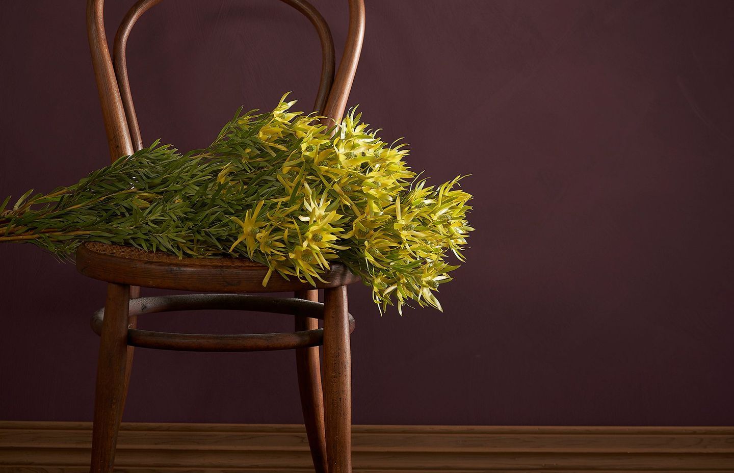 Smooth Impasto in Grenache 