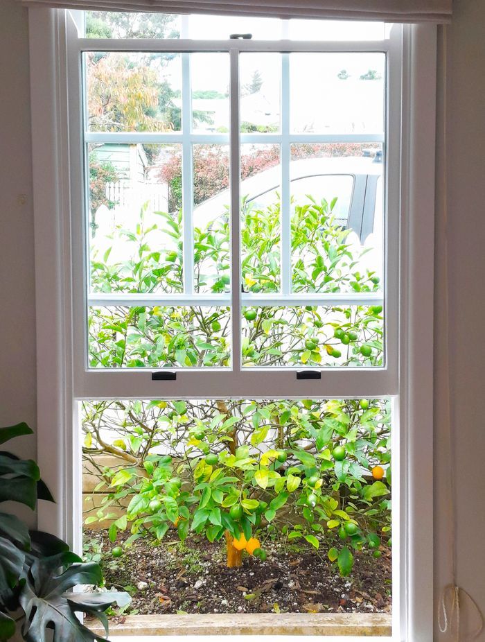 Classic double hung windows with colonial bars complete the colonial charm of this Ngaio railway cottage.