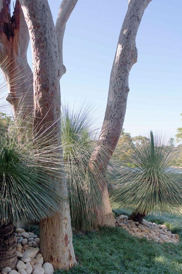 Dream gardens and movie magic: How pop culture can inspire your next outdoor project