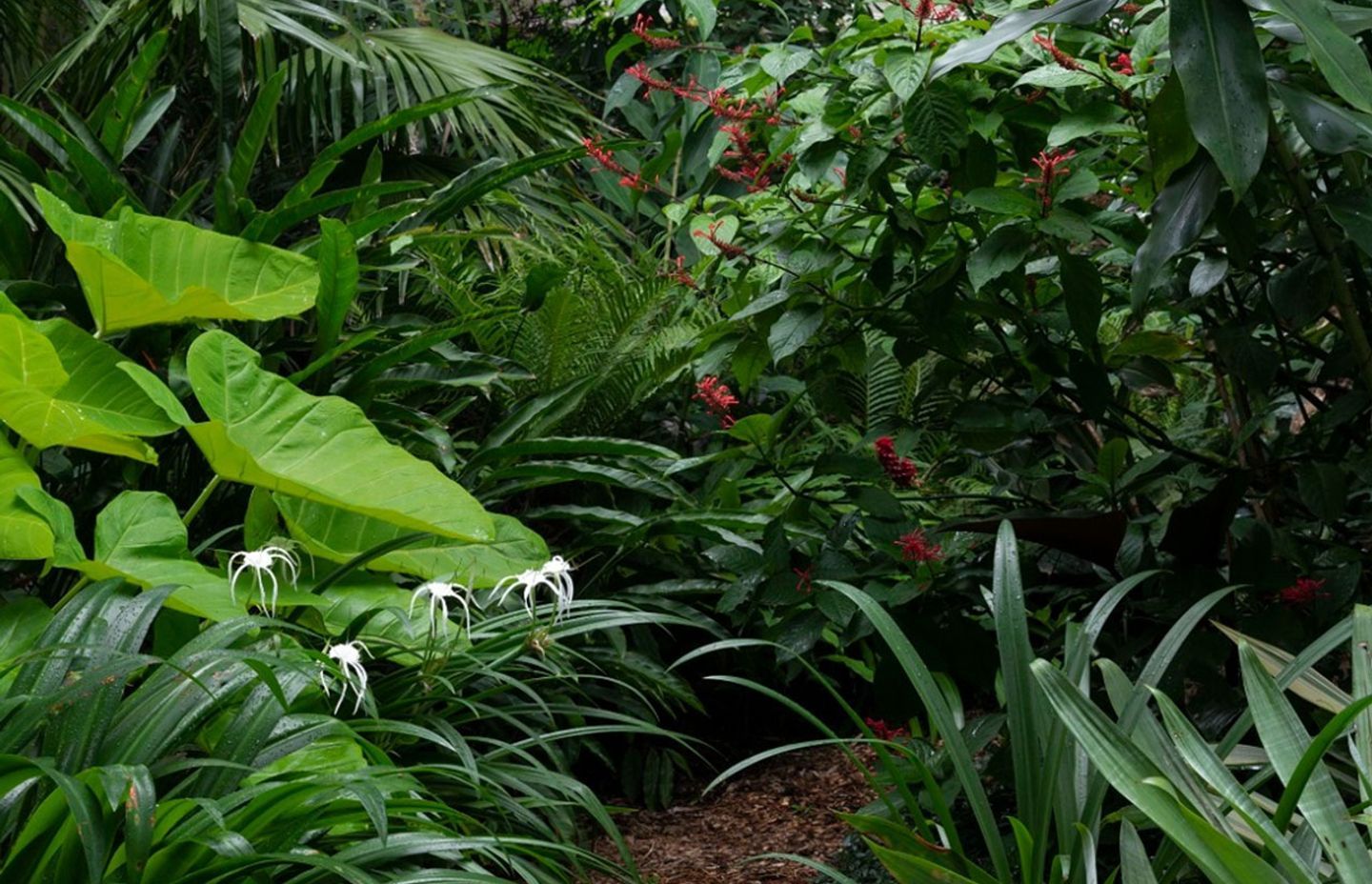 Dream gardens and movie magic: How pop culture can inspire your next outdoor project