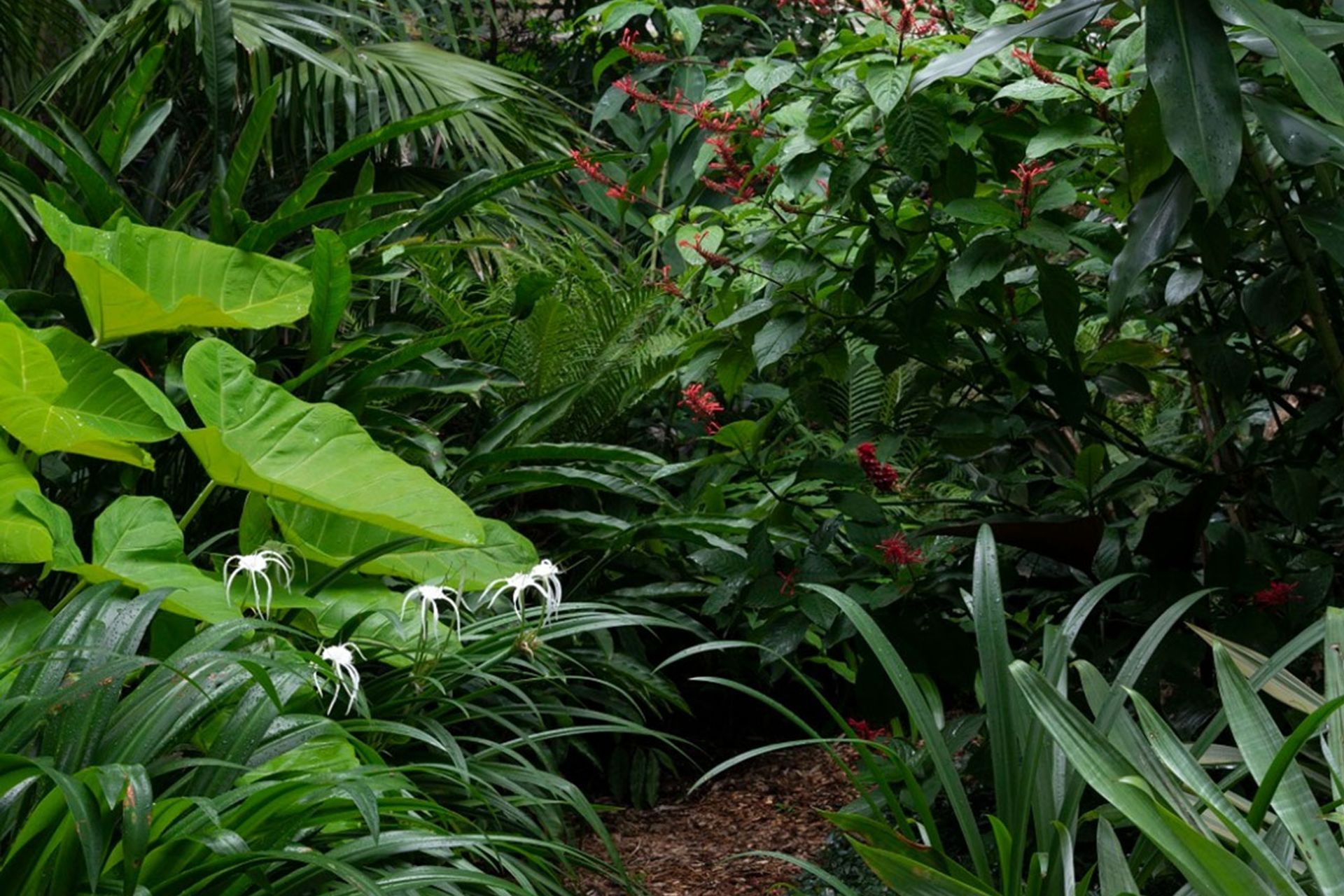 Dream gardens and movie magic: How pop culture can inspire your next outdoor project