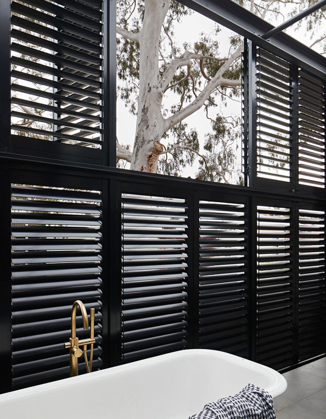 All about the tree: this renovation to an old general store in South Melbourne respects the existing tree and the history of the building. Yes, that is an external bathtub that you are looking at on the upper storey! This was a unique idea of the clients who dreamed of a relaxing bath while staring up at the canopy and stars.