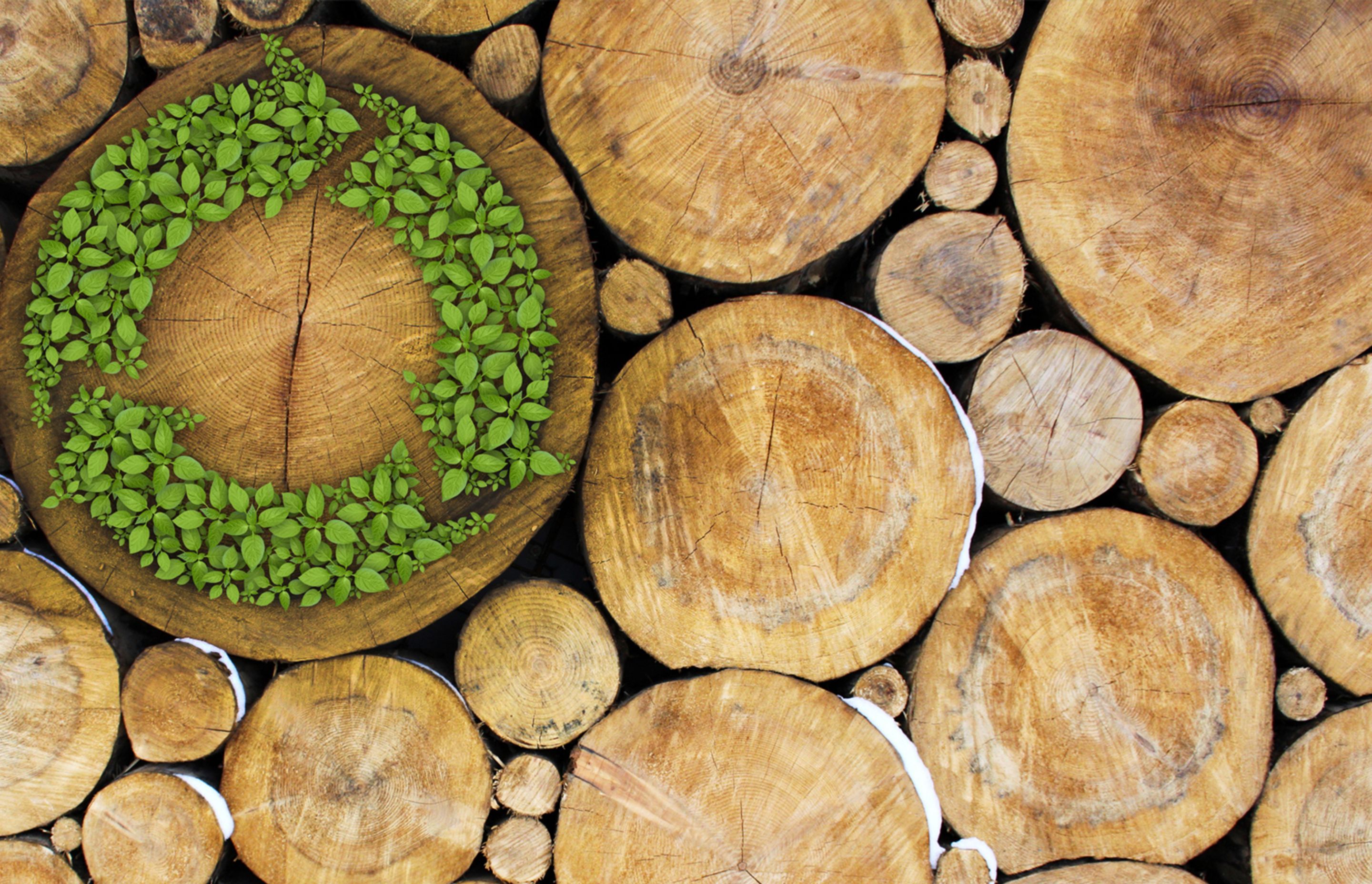 Environmental Timber Eco Labels and Reclaimed Wood: The Different Faces of the Sustainable ...