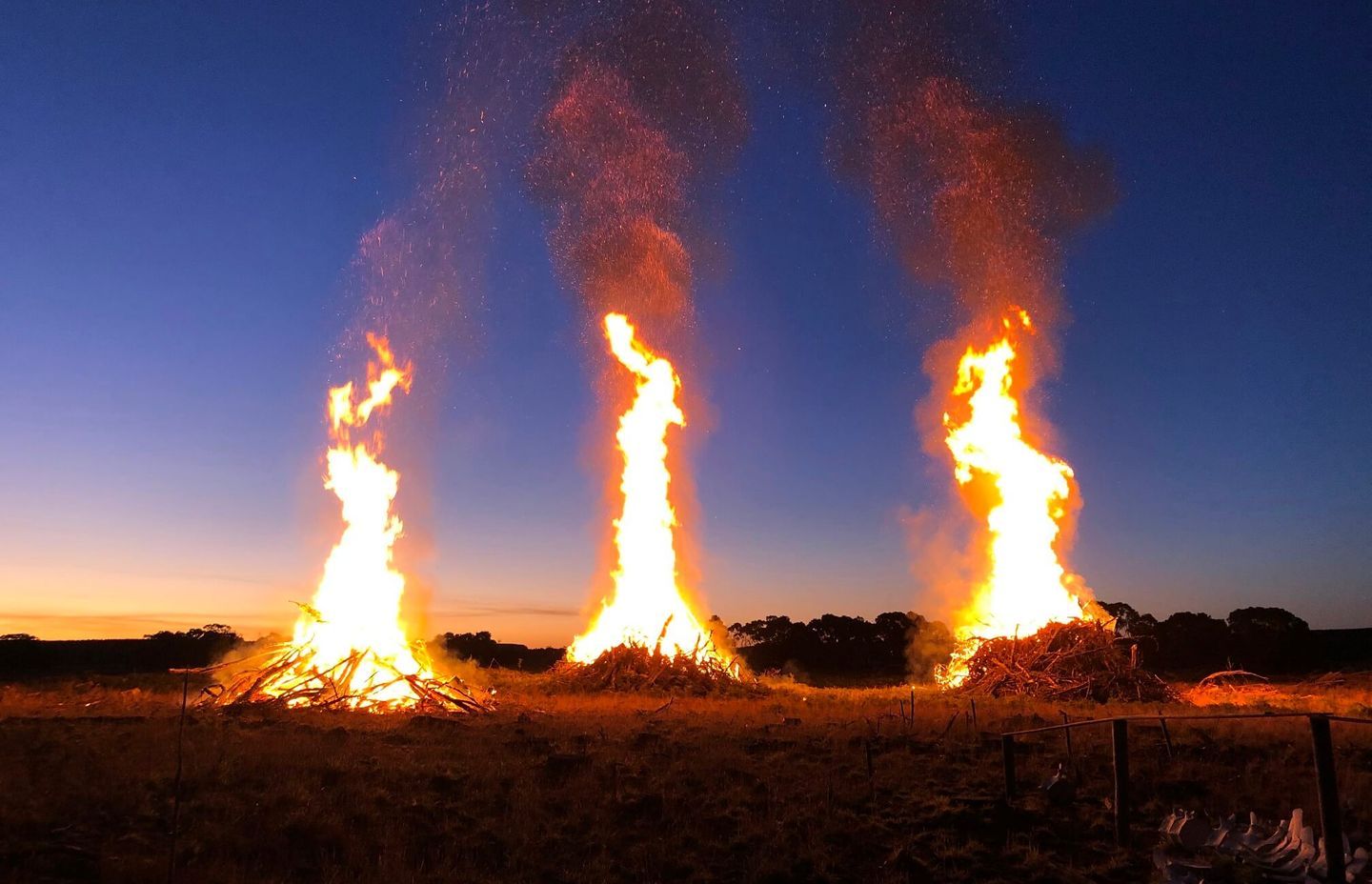 Exploring Boandik Creation stories at Mt Burr Swamp