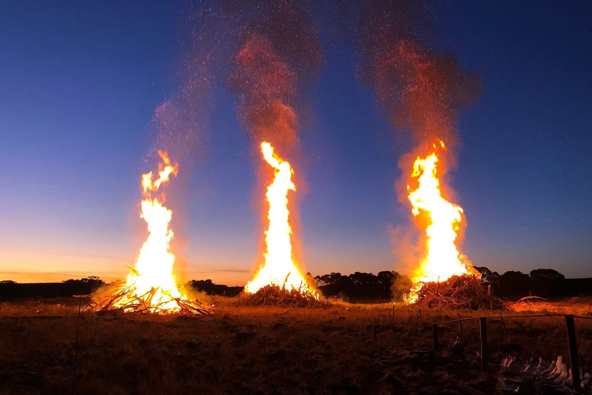 Exploring Boandik Creation stories at Mt Burr Swamp