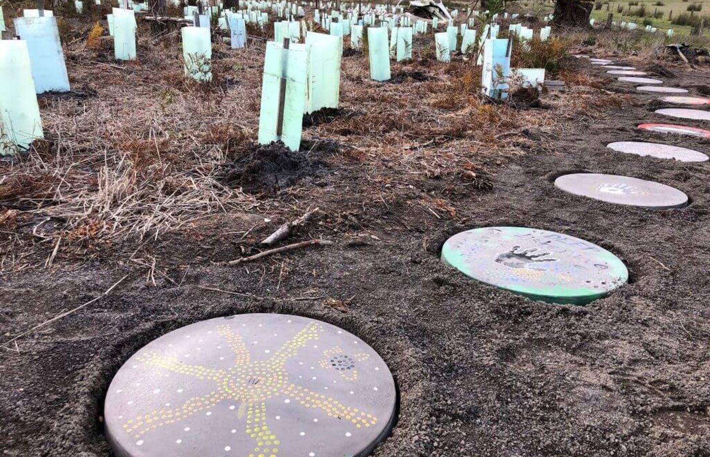Exploring Boandik Creation stories at Mt Burr Swamp