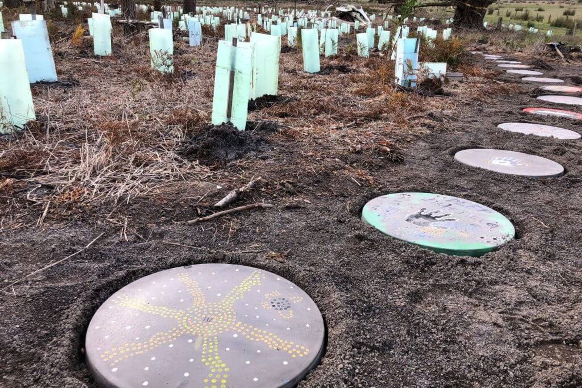 Exploring Boandik Creation stories at Mt Burr Swamp
