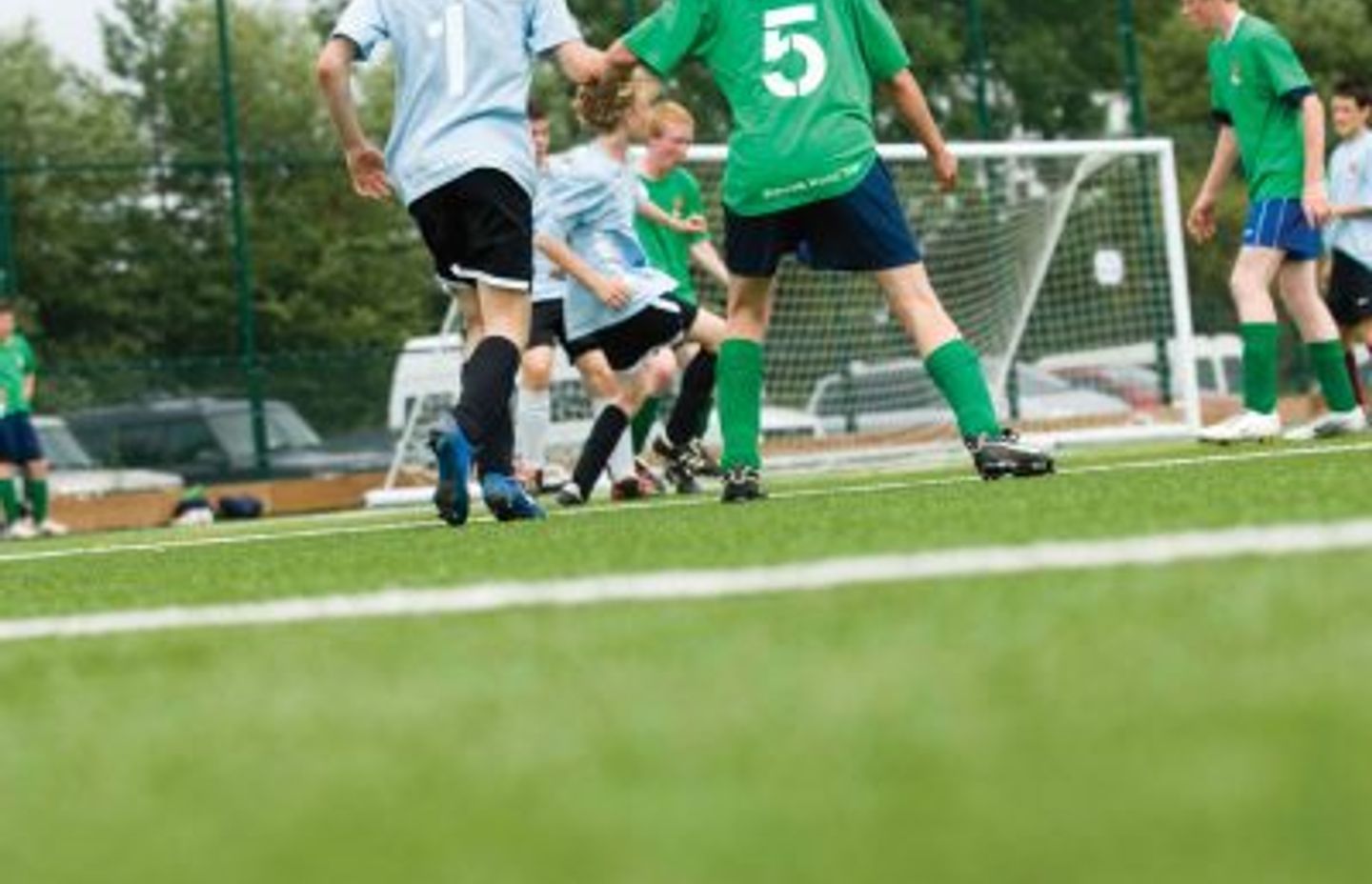 The Expert Guide to Sports Turf