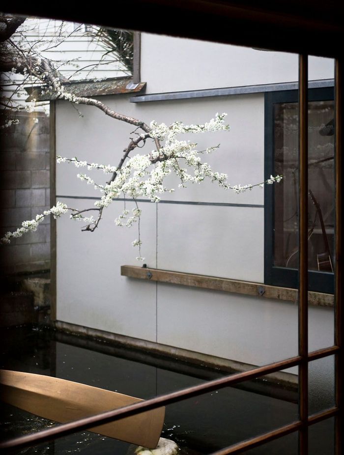Heke Street House, Freemans Bay, Auckland, designed by Mitchell Stout Architects.