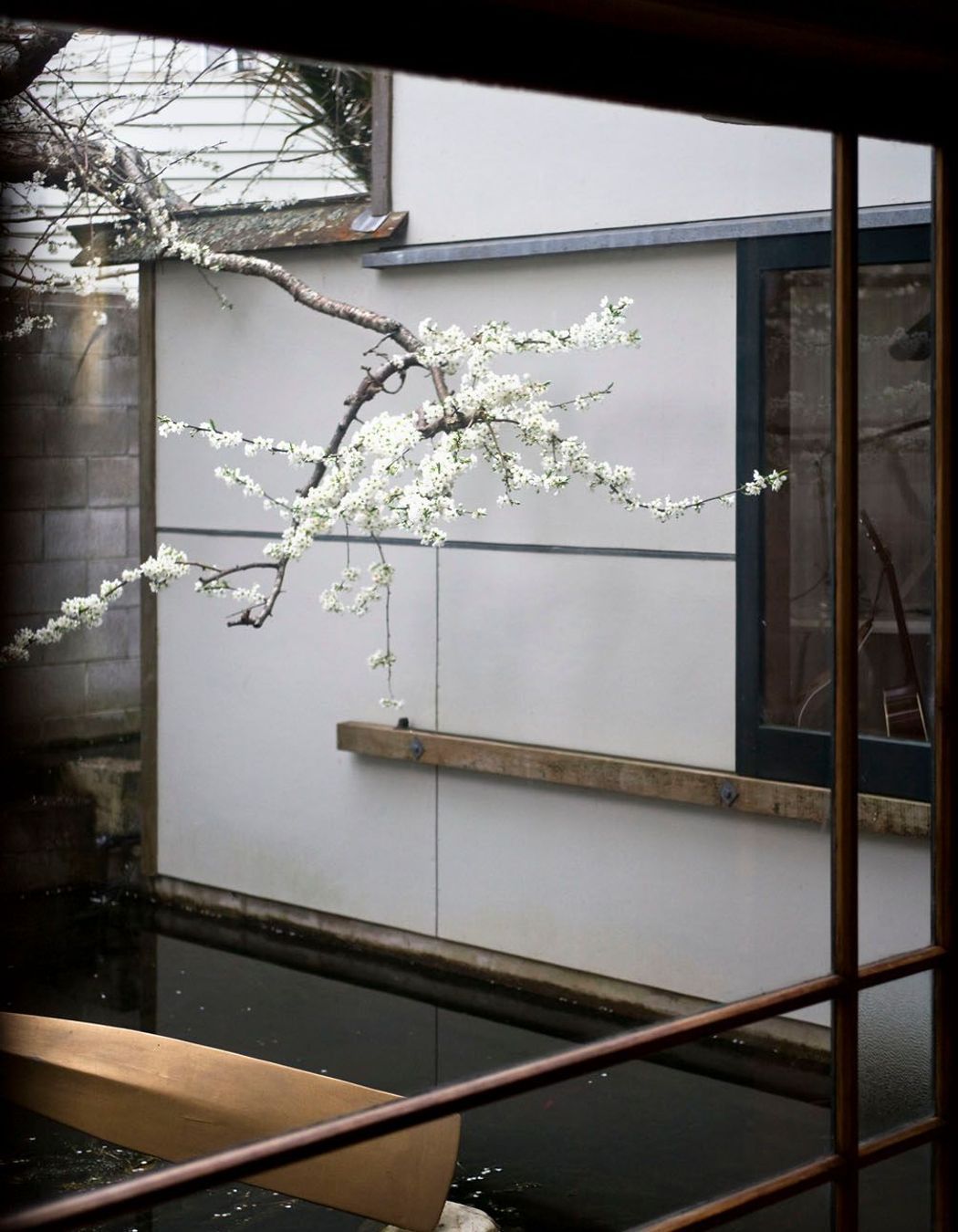 Heke Street House, Freemans Bay, Auckland, designed by Mitchell Stout Architects.