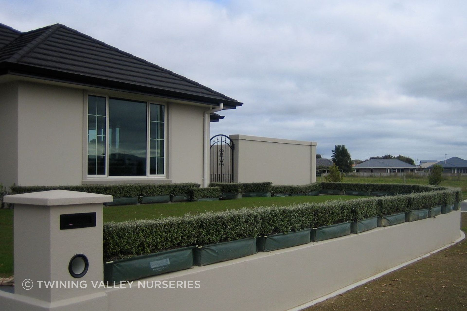 Living Edge™ hedge lengths positioned around the garden before installation.