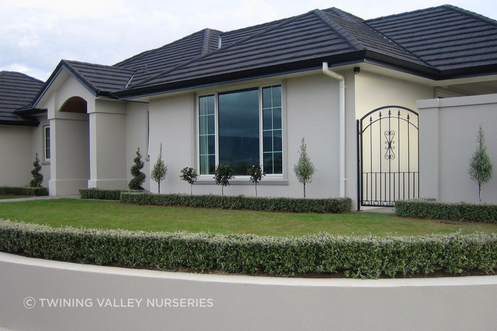 Once installed, the hedge lengths create a continuous low edge around the lawn and garden beds.