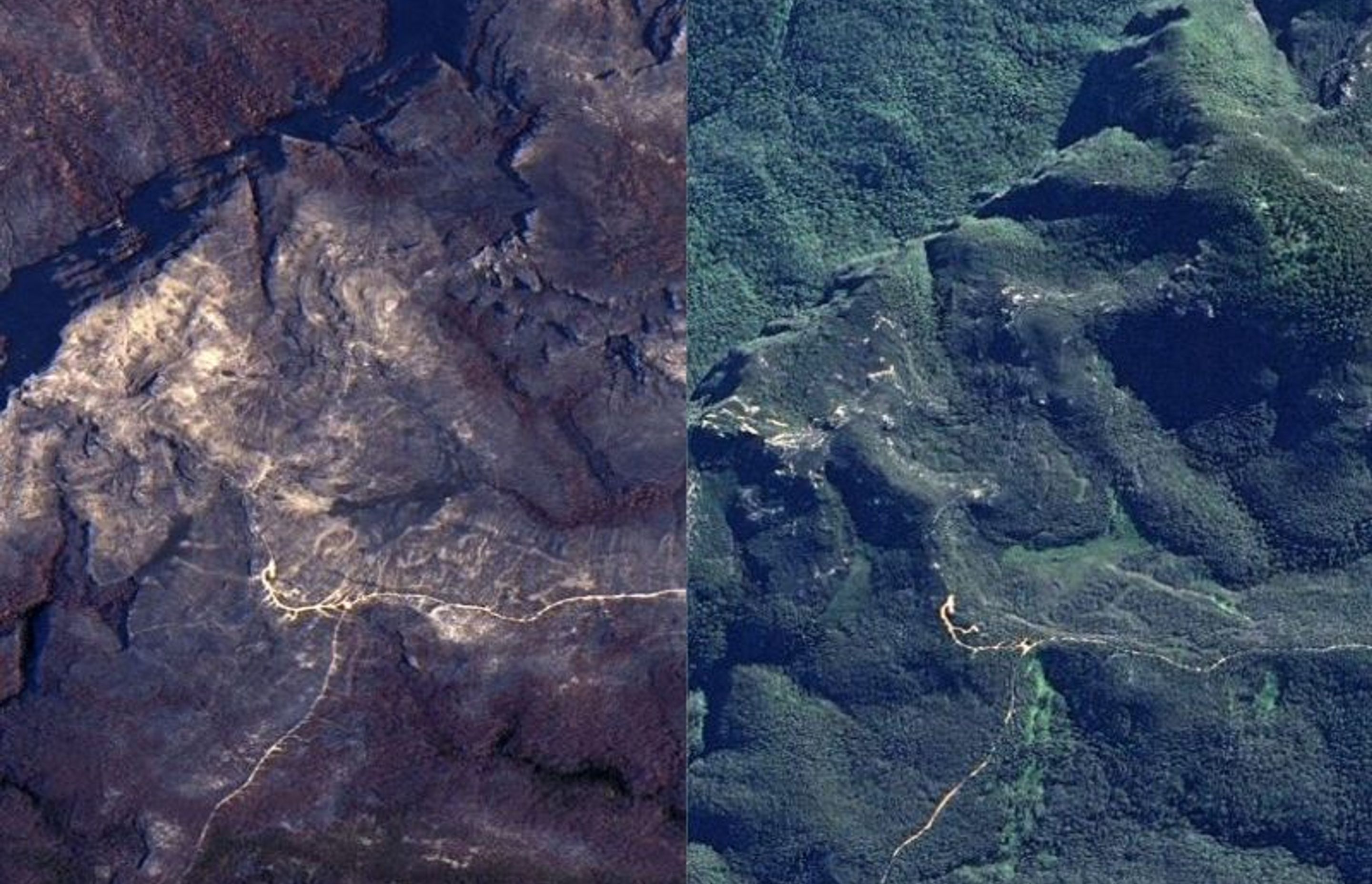 Before and after aerial images of Mount Wilson, near where a backburn started the Grose Valley Fire in December. (Supplied: Geospatial Intelligence)