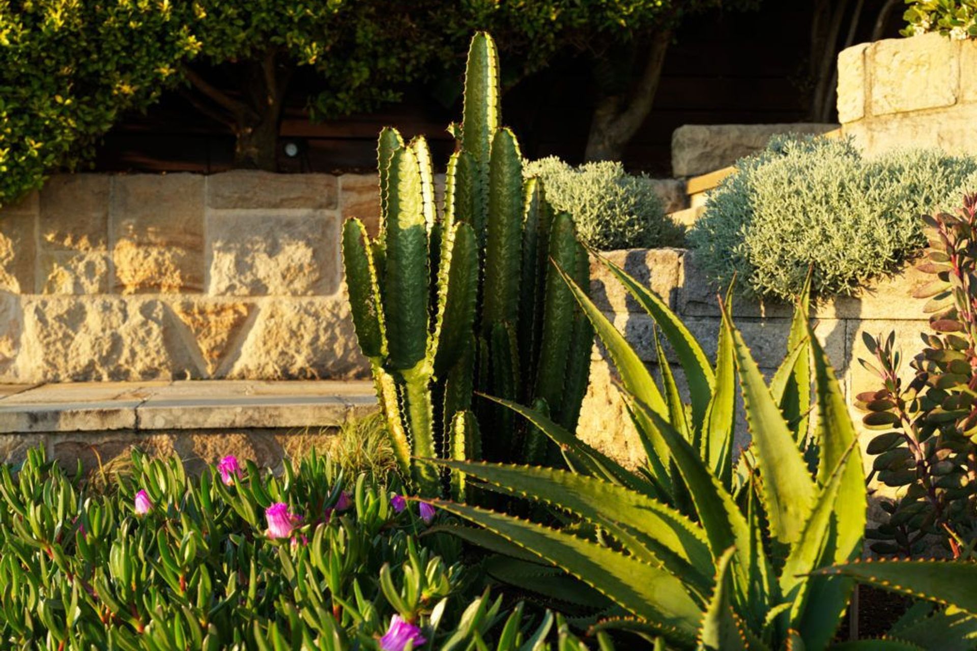 Photography: Nick Bowers