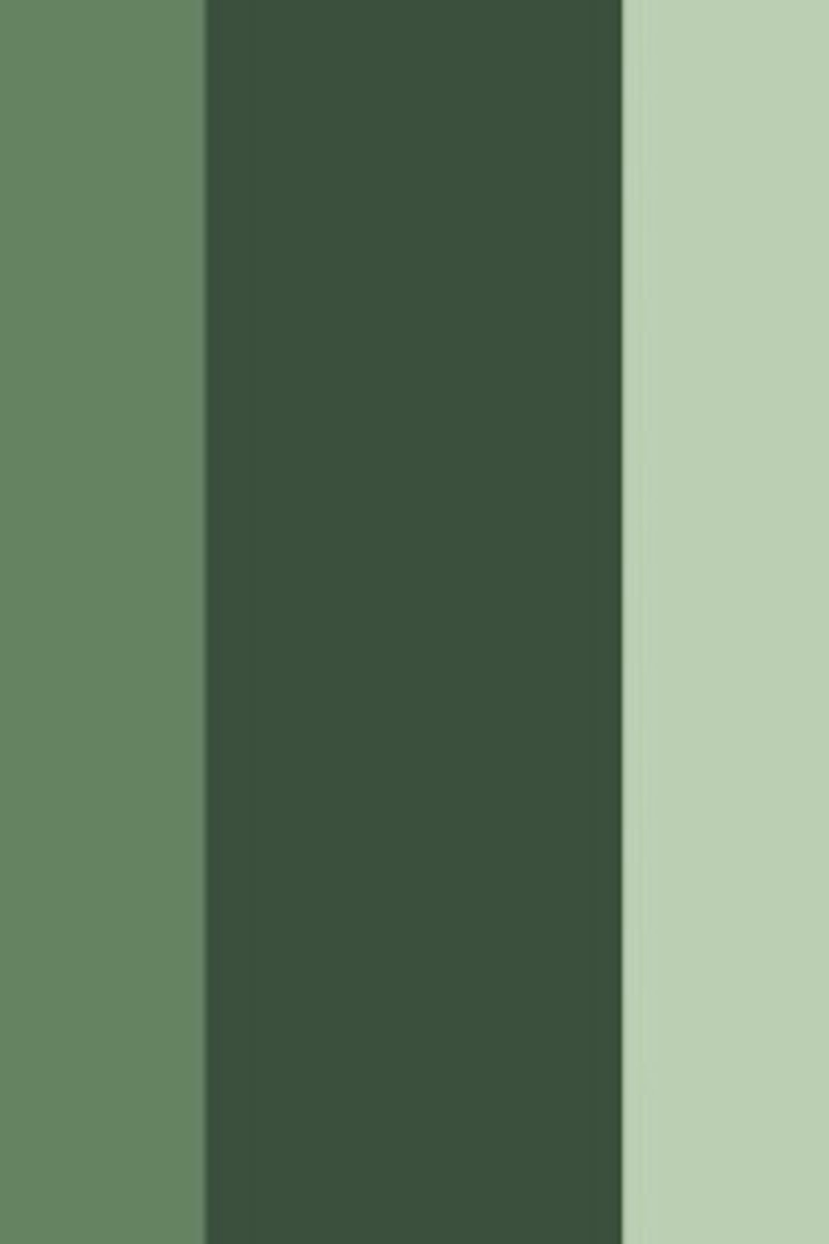 Psychological Properties Of Colours – Green
