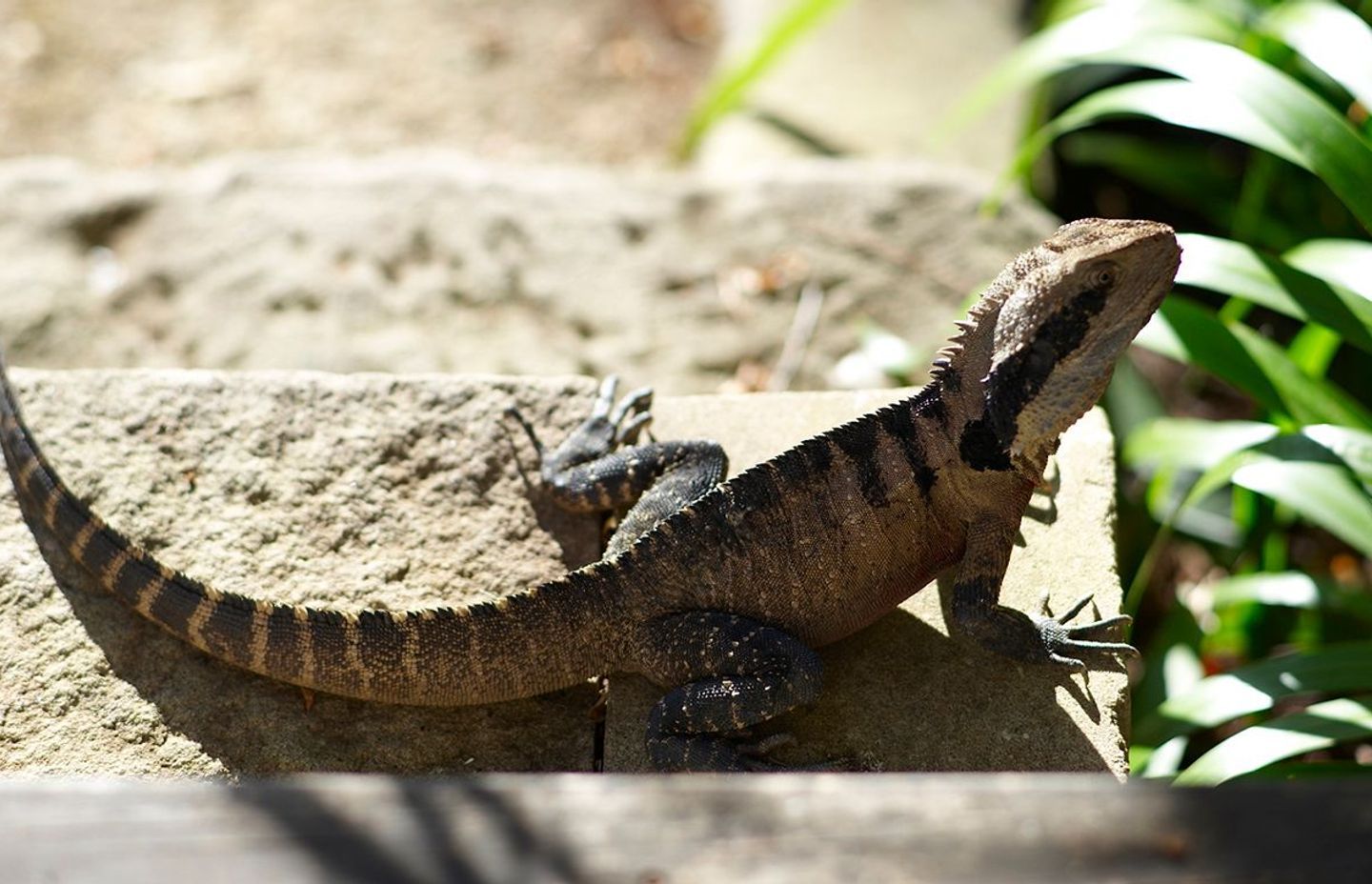 Tackling Climate Change in your own Backyard