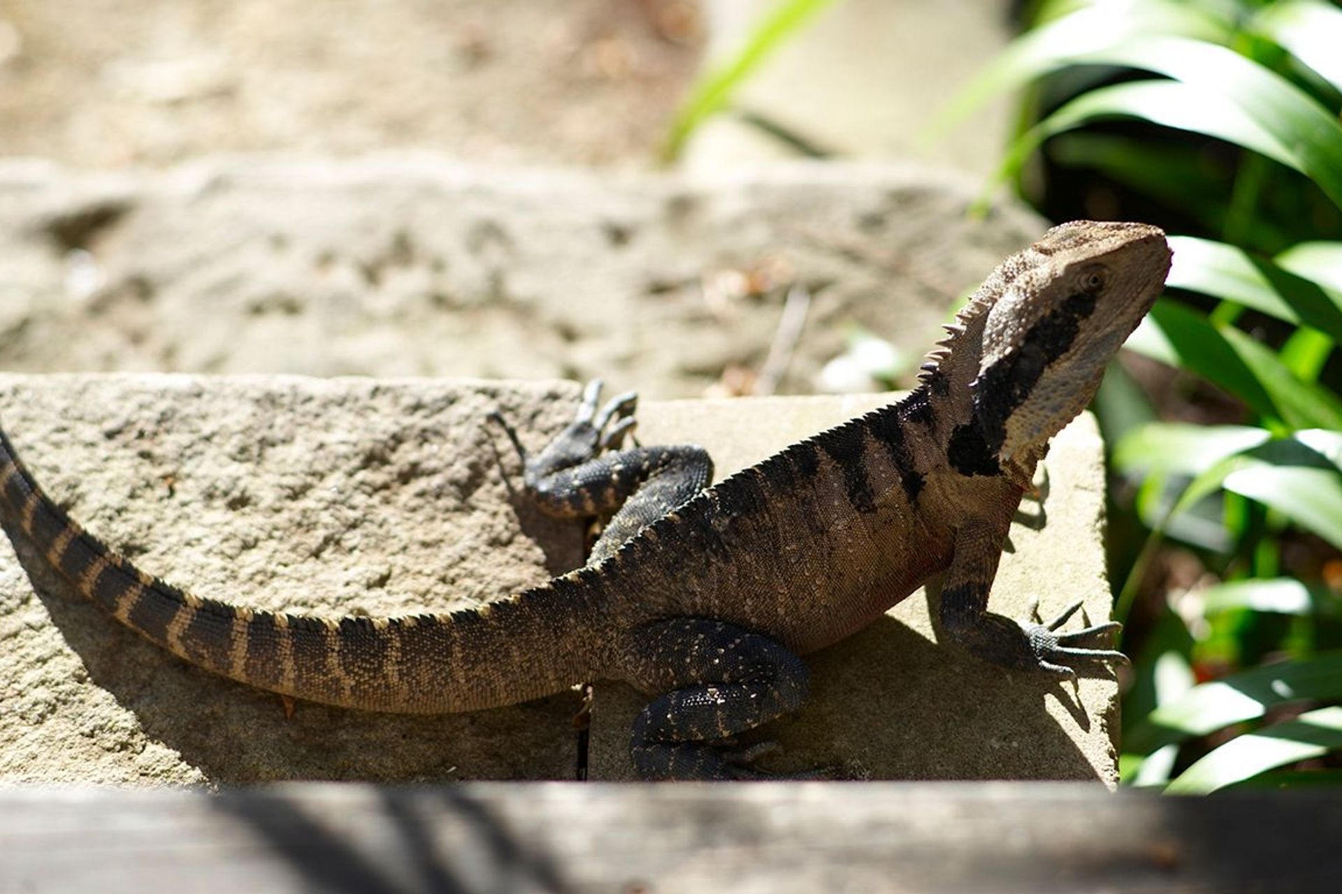Tackling Climate Change in your own Backyard