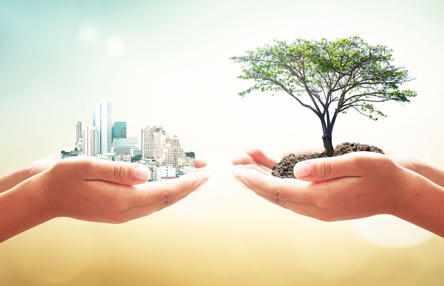 Havwoods Leads the Way in Sustainable Timber Flooring