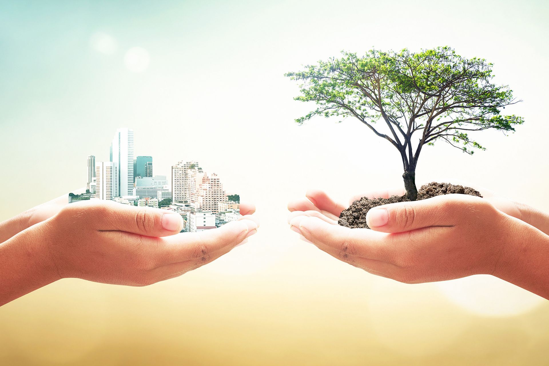 Havwoods Leads the Way in Sustainable Timber Flooring