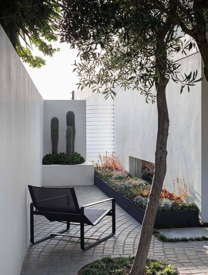 High and dry: Exploring the cool world of Cactus