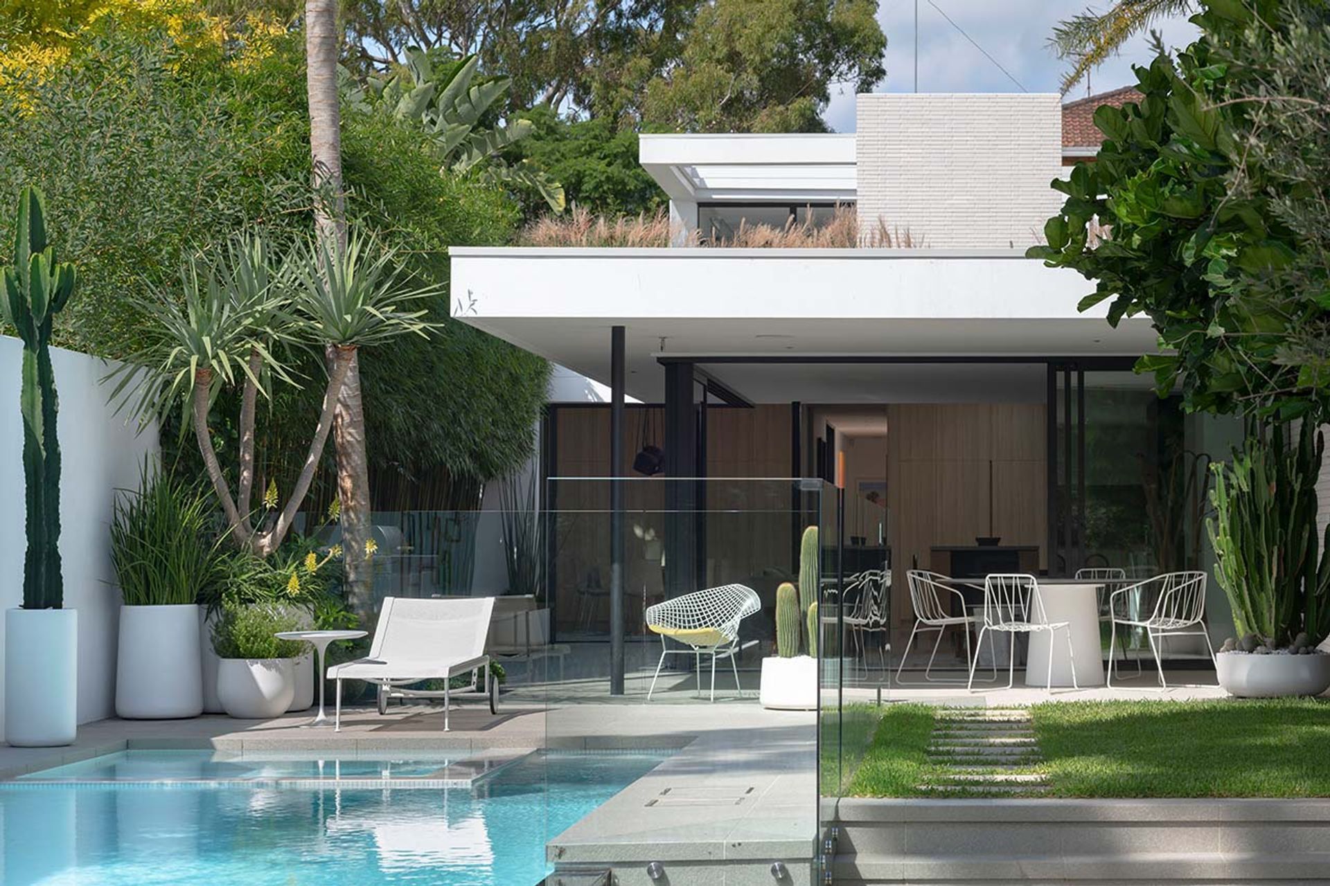 High and dry: Exploring the cool world of Cactus