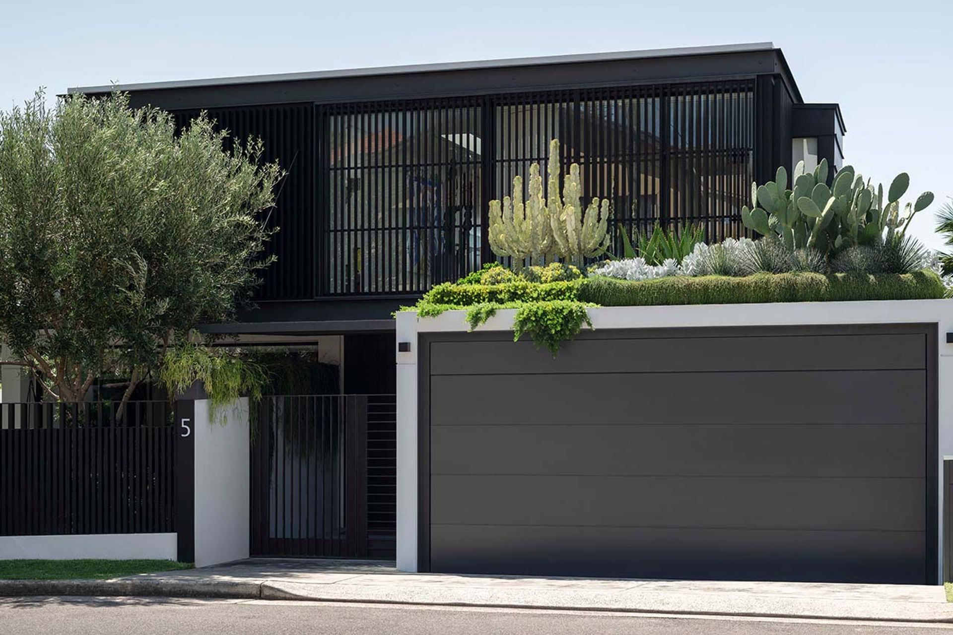 High and dry: Exploring the cool world of Cactus