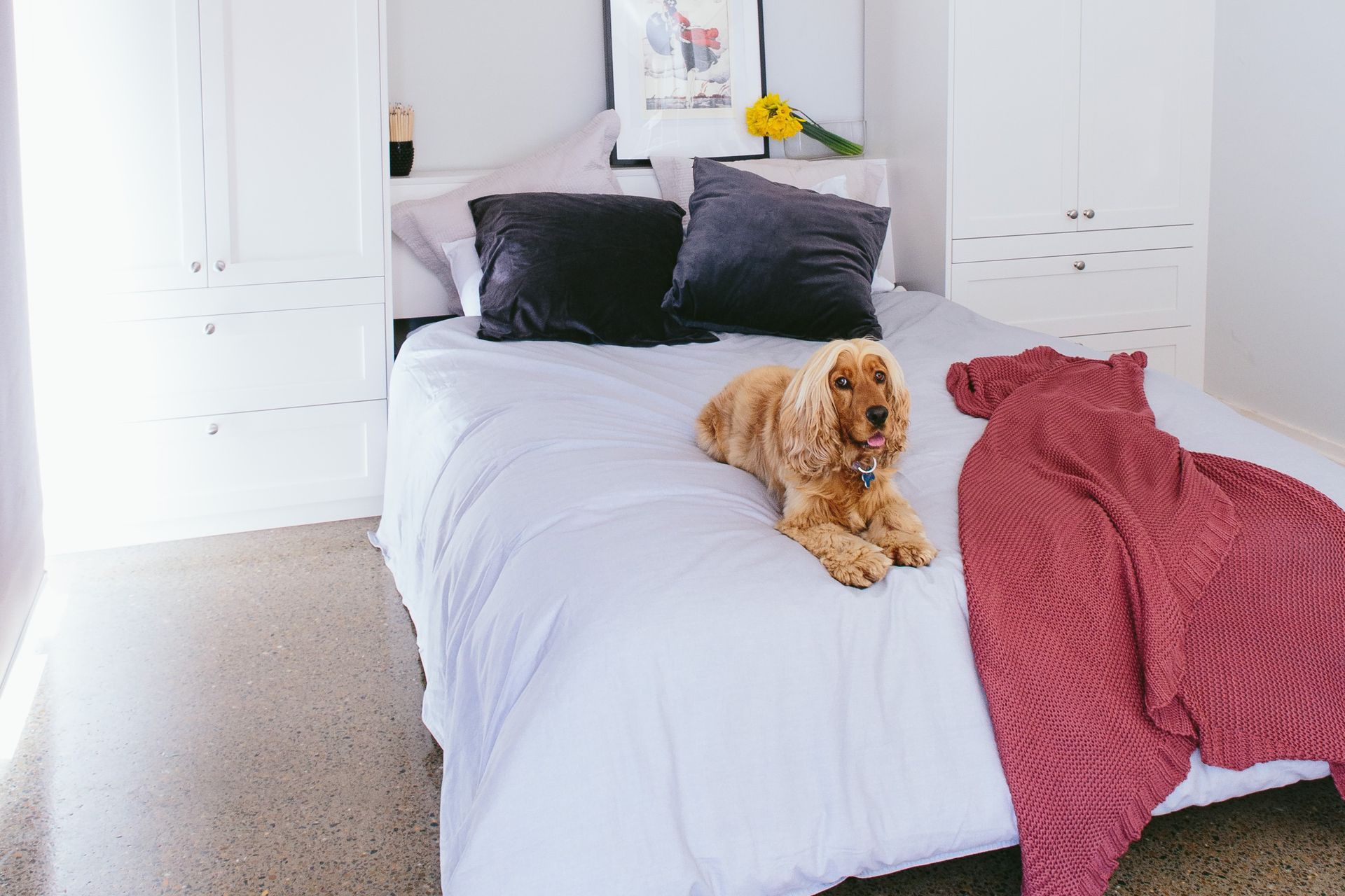 Bed sheets need to be durable enough to withstand all sorts of daily wear and tear, never more adorably demonstrated than in this beautiful fitout in NSW