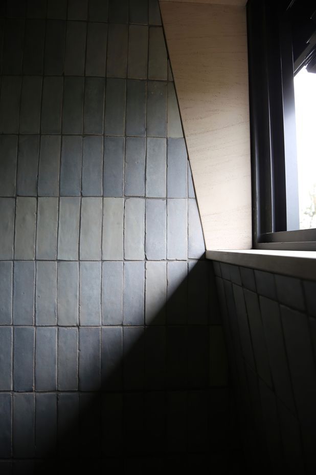 Details from Wamberal – Site Visit 08/10/20