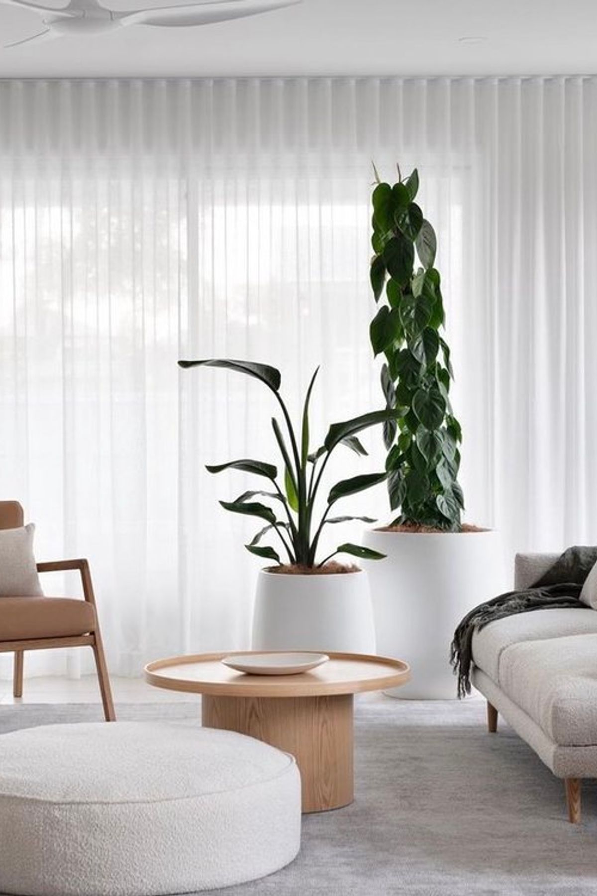 Trending Design Styles that Match X-Bond For 2022