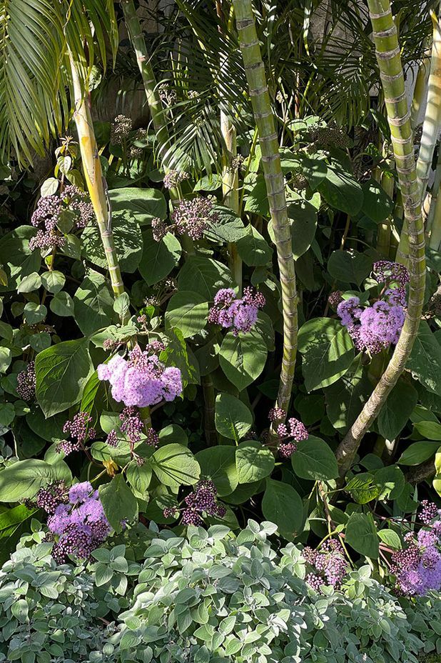 Neighbourhood Watch Reimagined