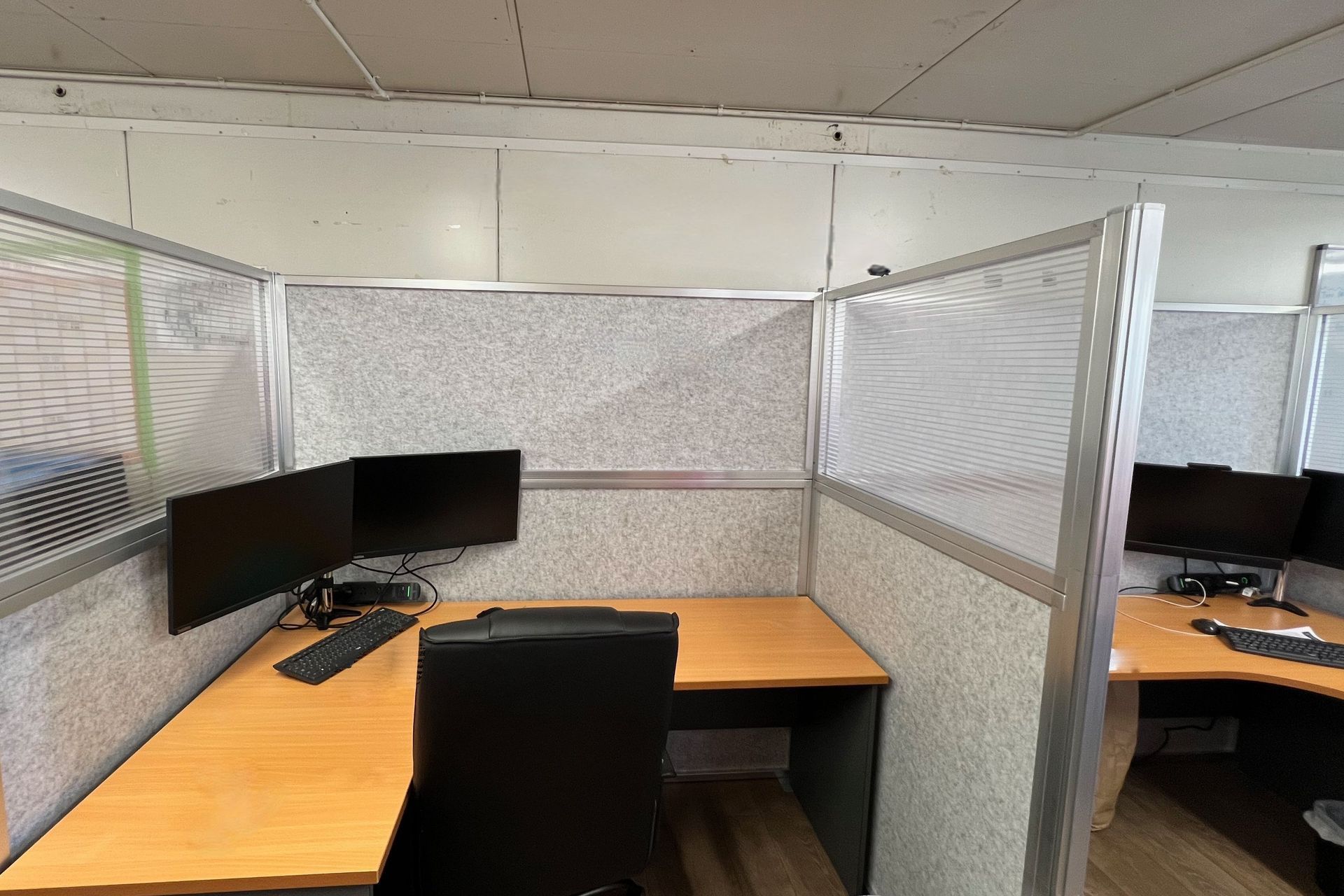 Optional Windows help with natural light