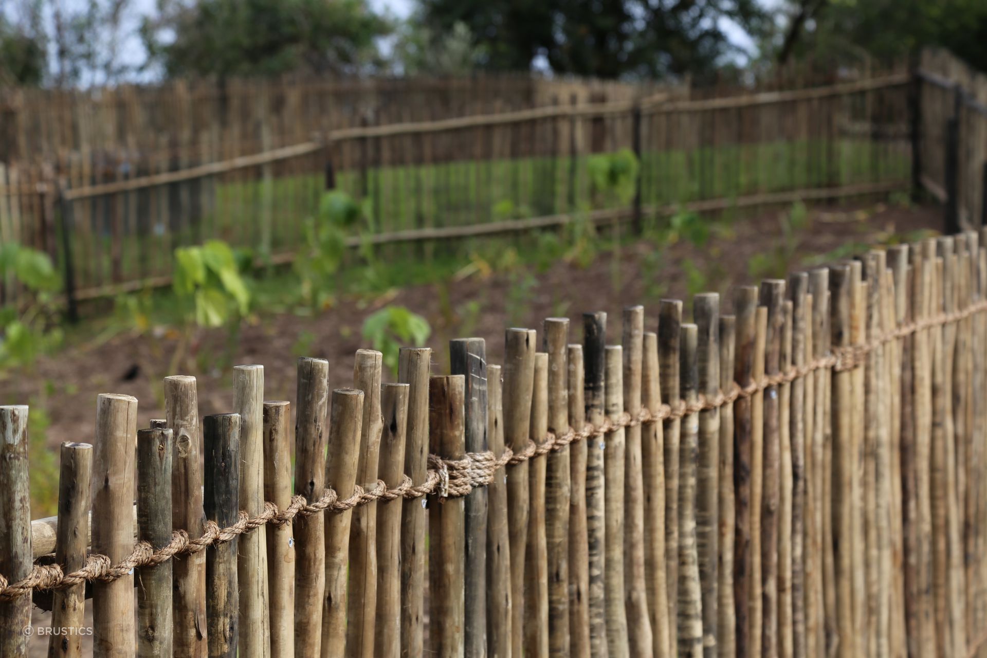 Over 500 linear metres of Eucalypt Fencing was installed across the Maunga, protecting planting areas while complementing the surrounding landscape.