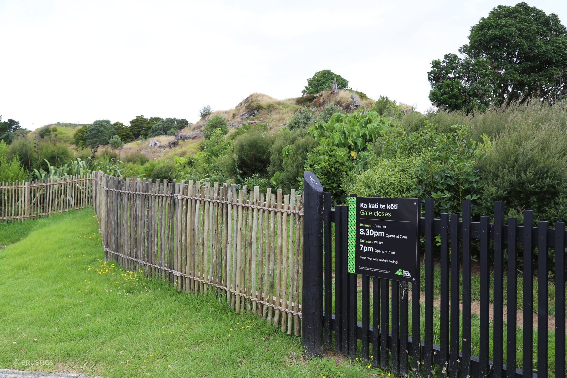 Eucalypt Fencing follows the contours of the Maunga, creating a natural boundary through the established landscape.