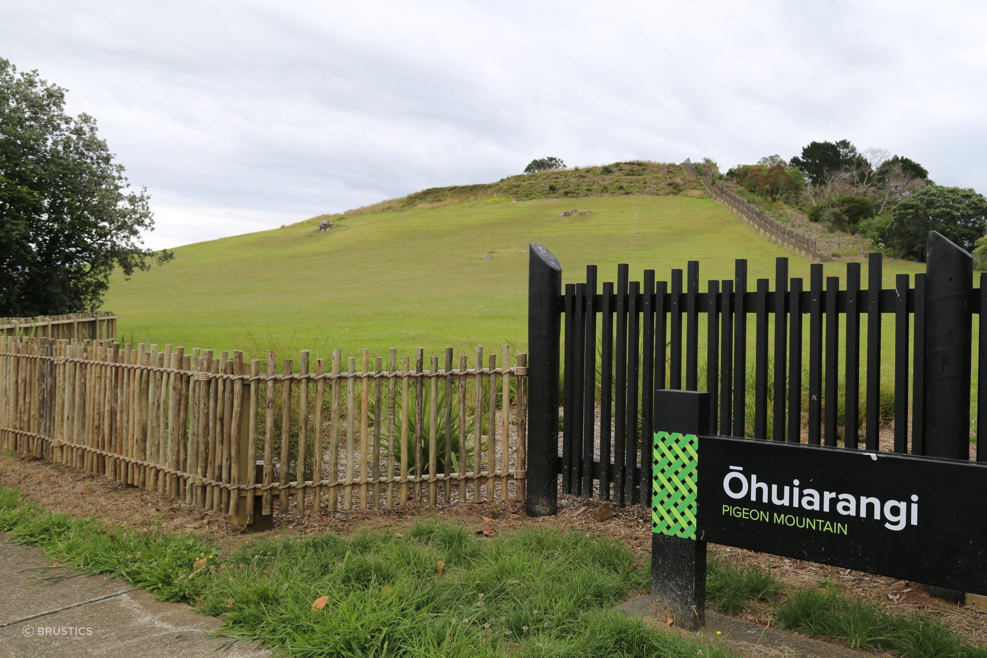Eucalypt Fencing extending through the wider landscape.