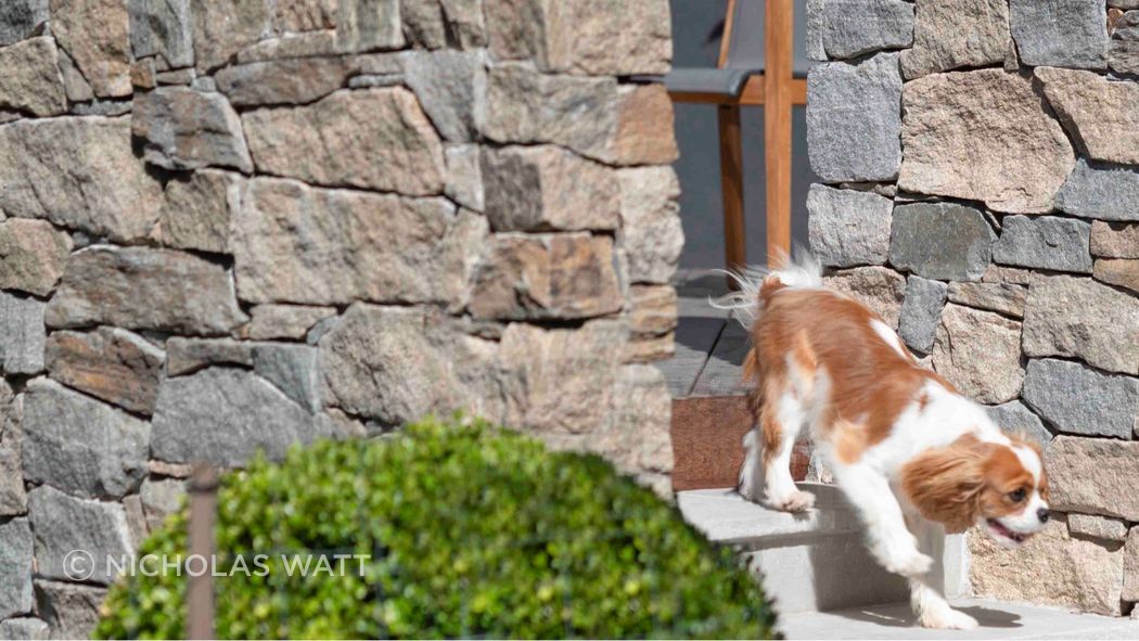 Cotswold Wall Cladding | Joanne Green Landscape & Interior