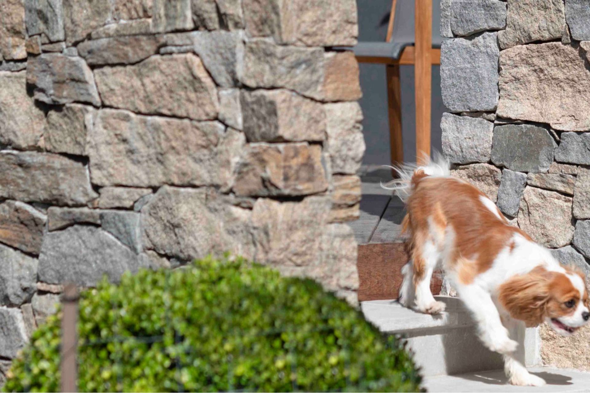 Cotswold Wall Cladding | Joanne Green Landscape & Interior