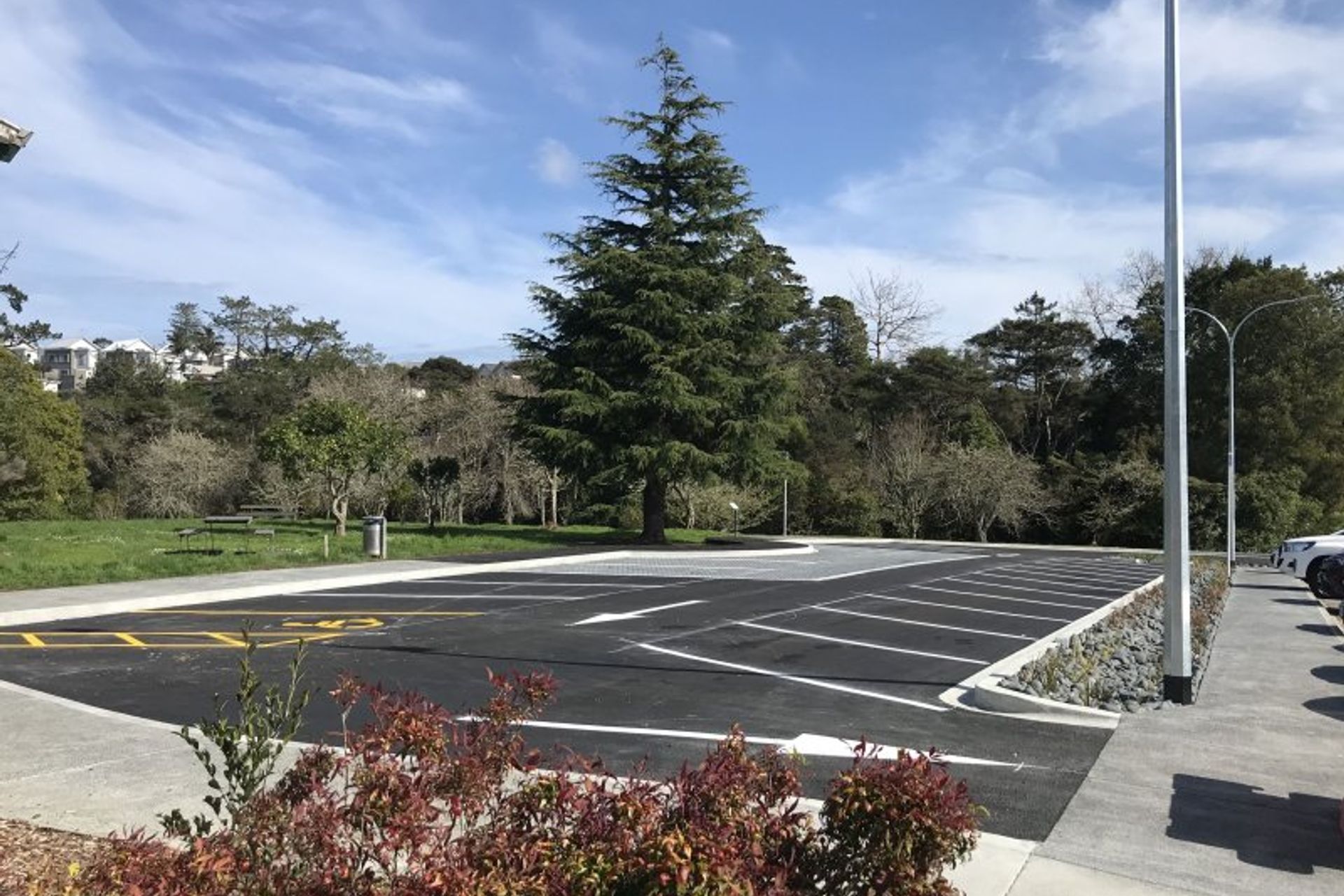 Trees love Firth's permeable products