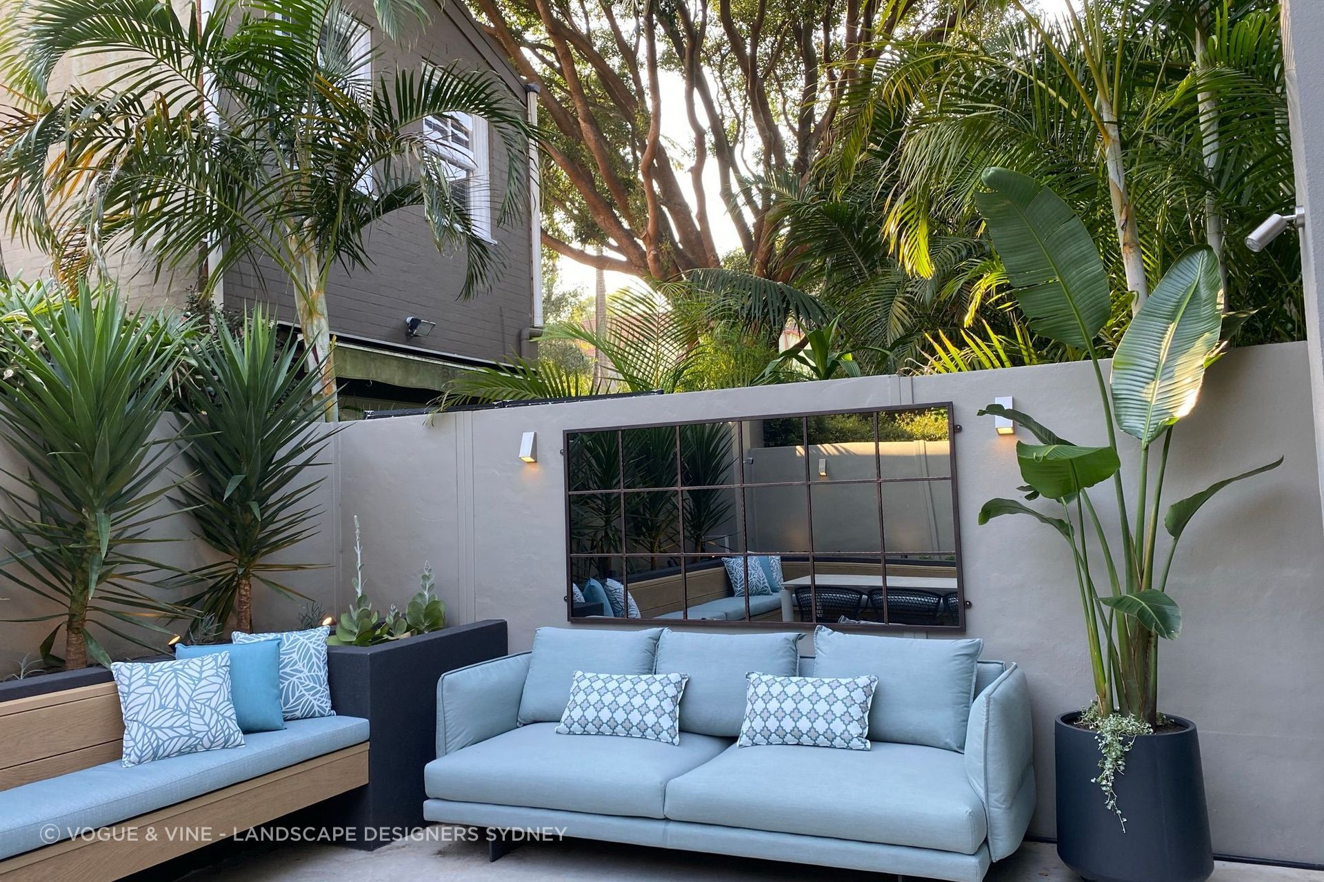 Landscape-design-Sydney-NSW-Vogue-Vine-v3.jpeg
