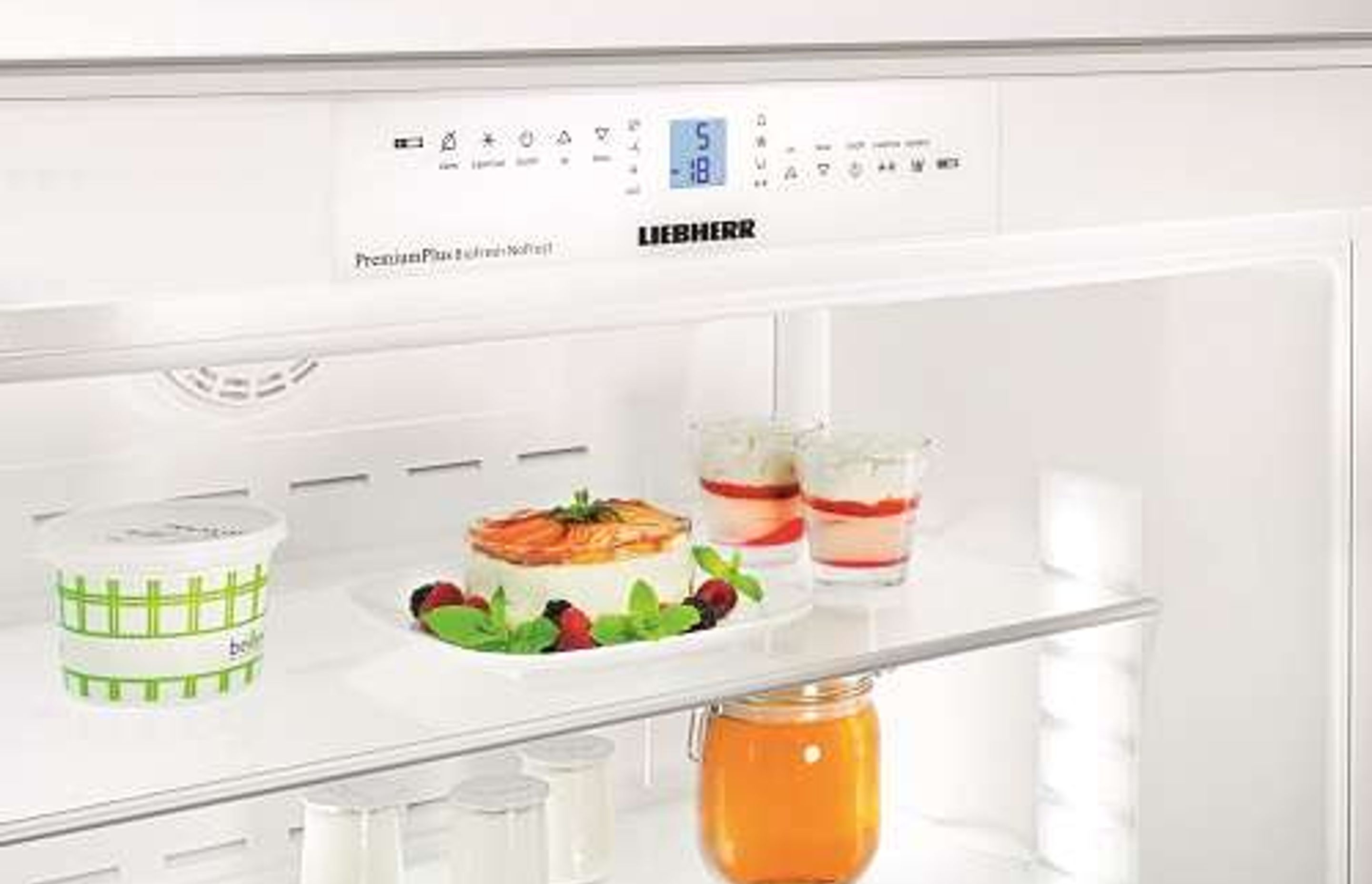 Liebherr Refrigeration Temperature Controls