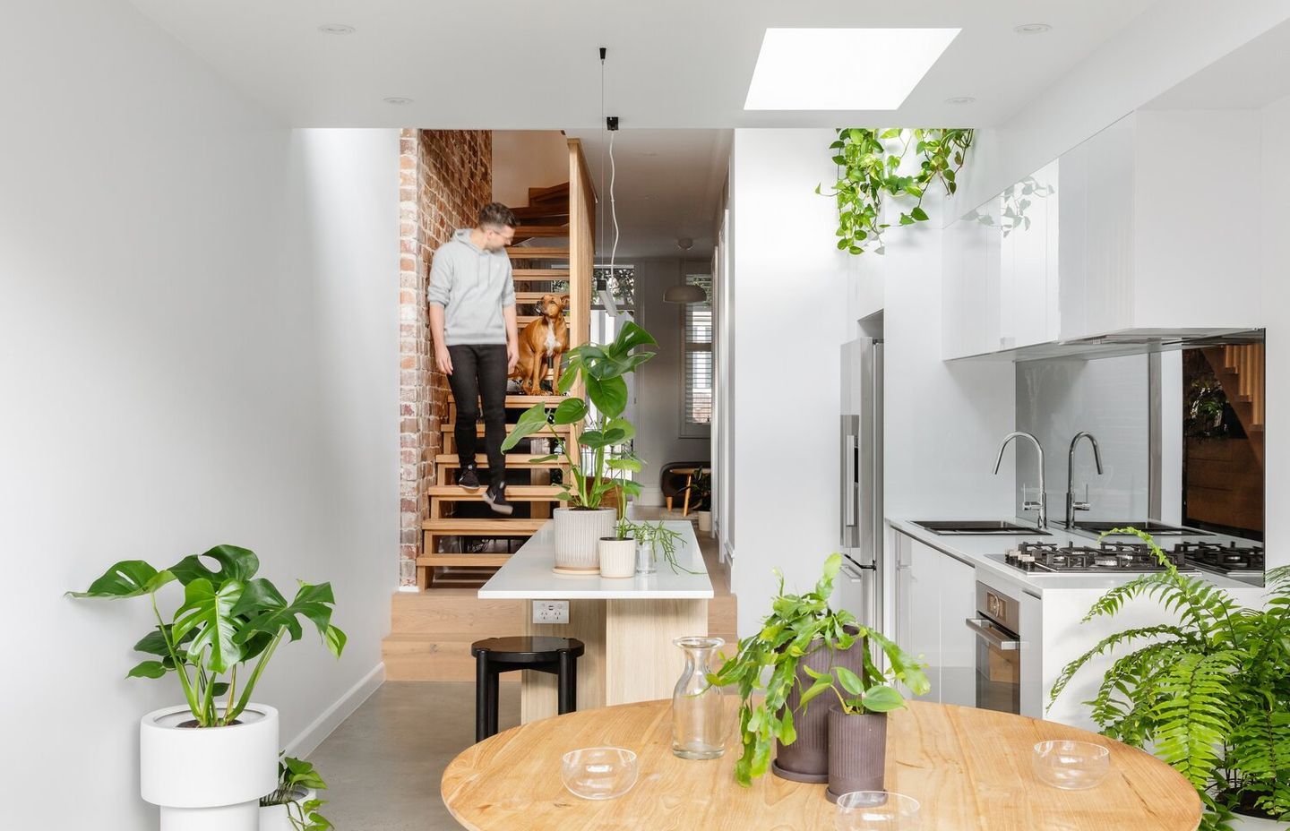 Paddo Terrace by Sandbox Studio | Photography by Katherine Lu