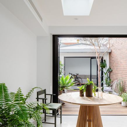 A Paddington terrace home designed for modern living