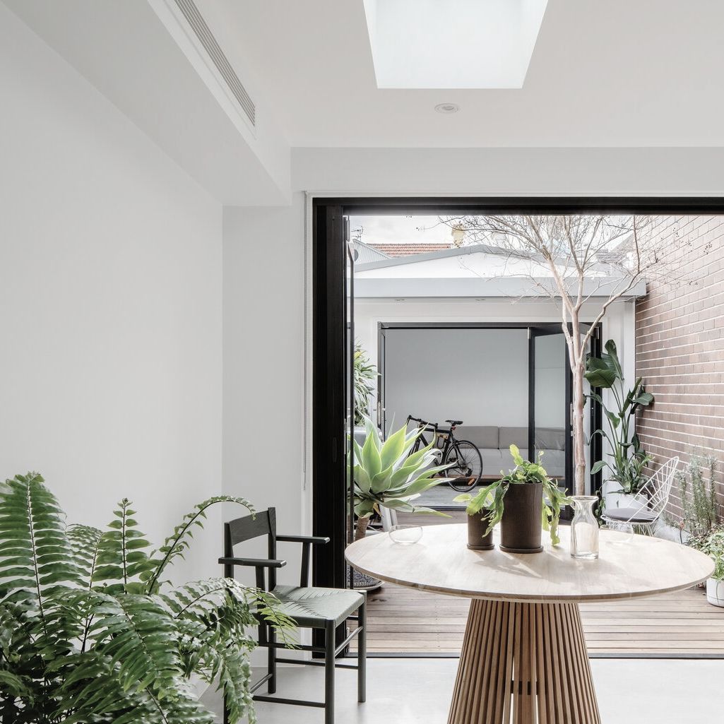 A Paddington terrace home designed for modern living