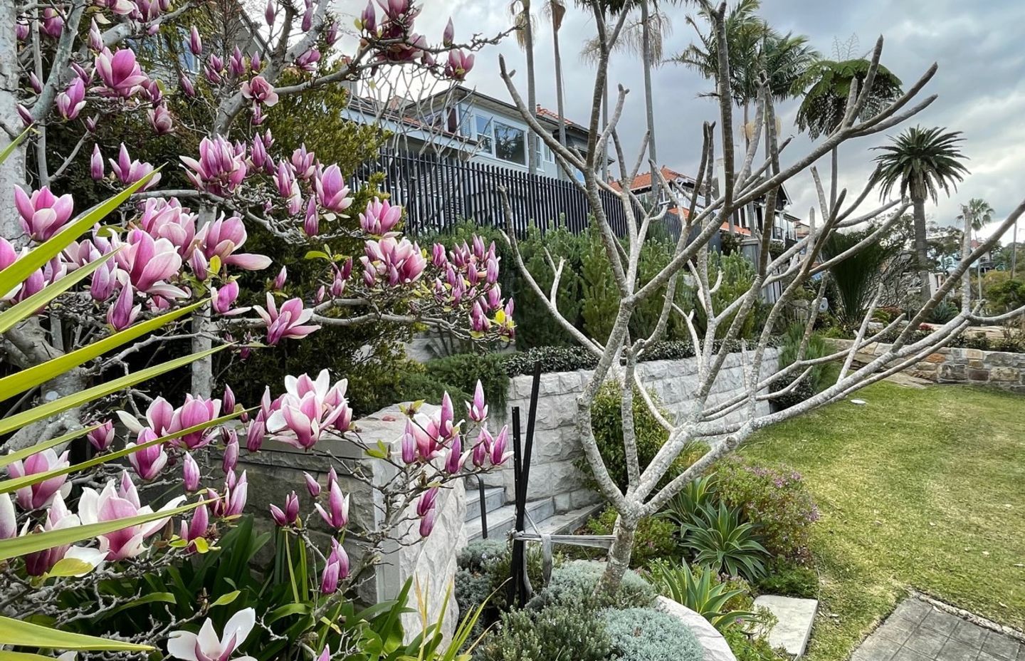 Neighbourhood Watch Reimagined