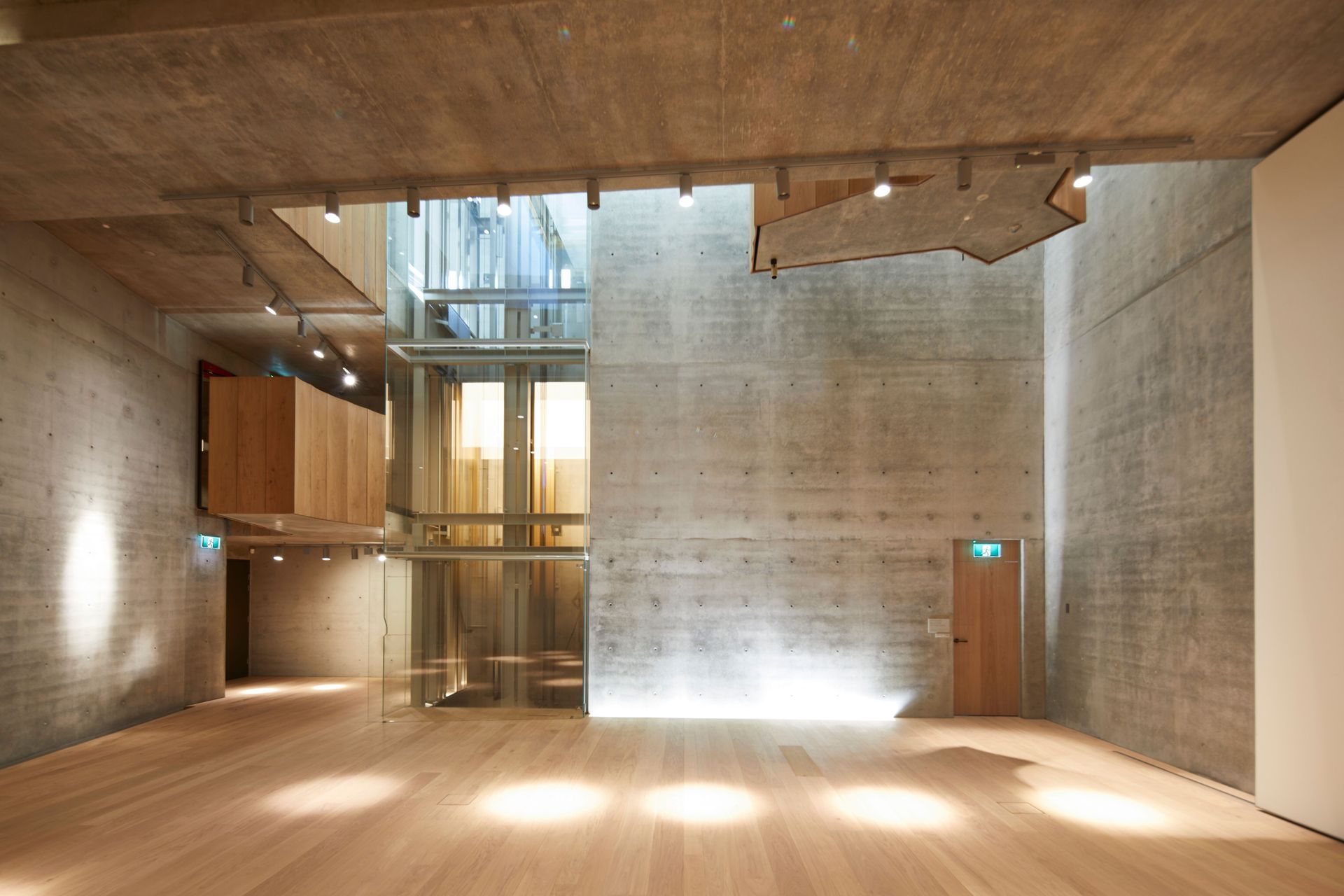 Phoenix Gallery NSW K9 Exit and K9 mini track lights