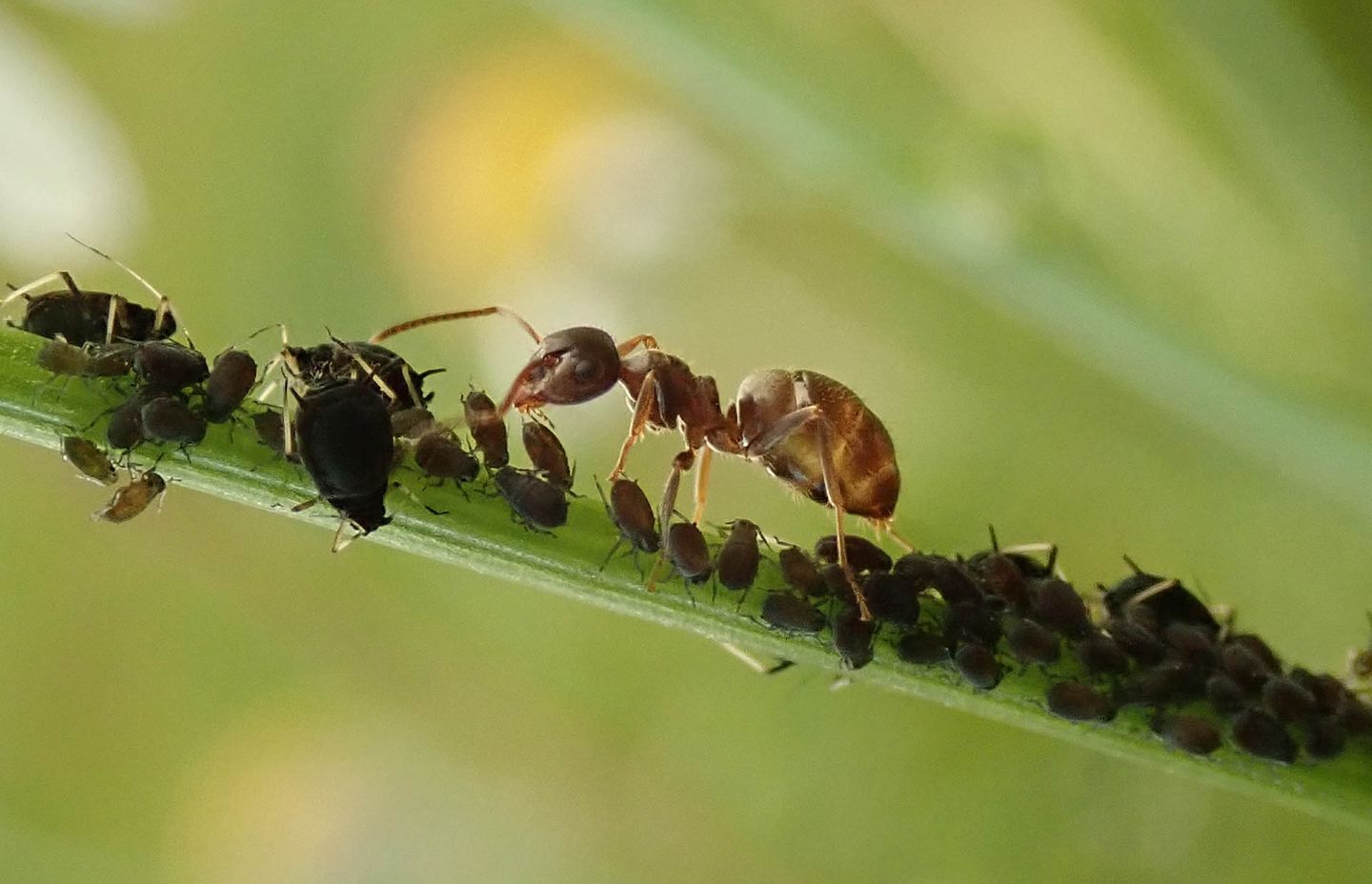 Mysterious forest landscape takes first place in Denmark’s photo contest