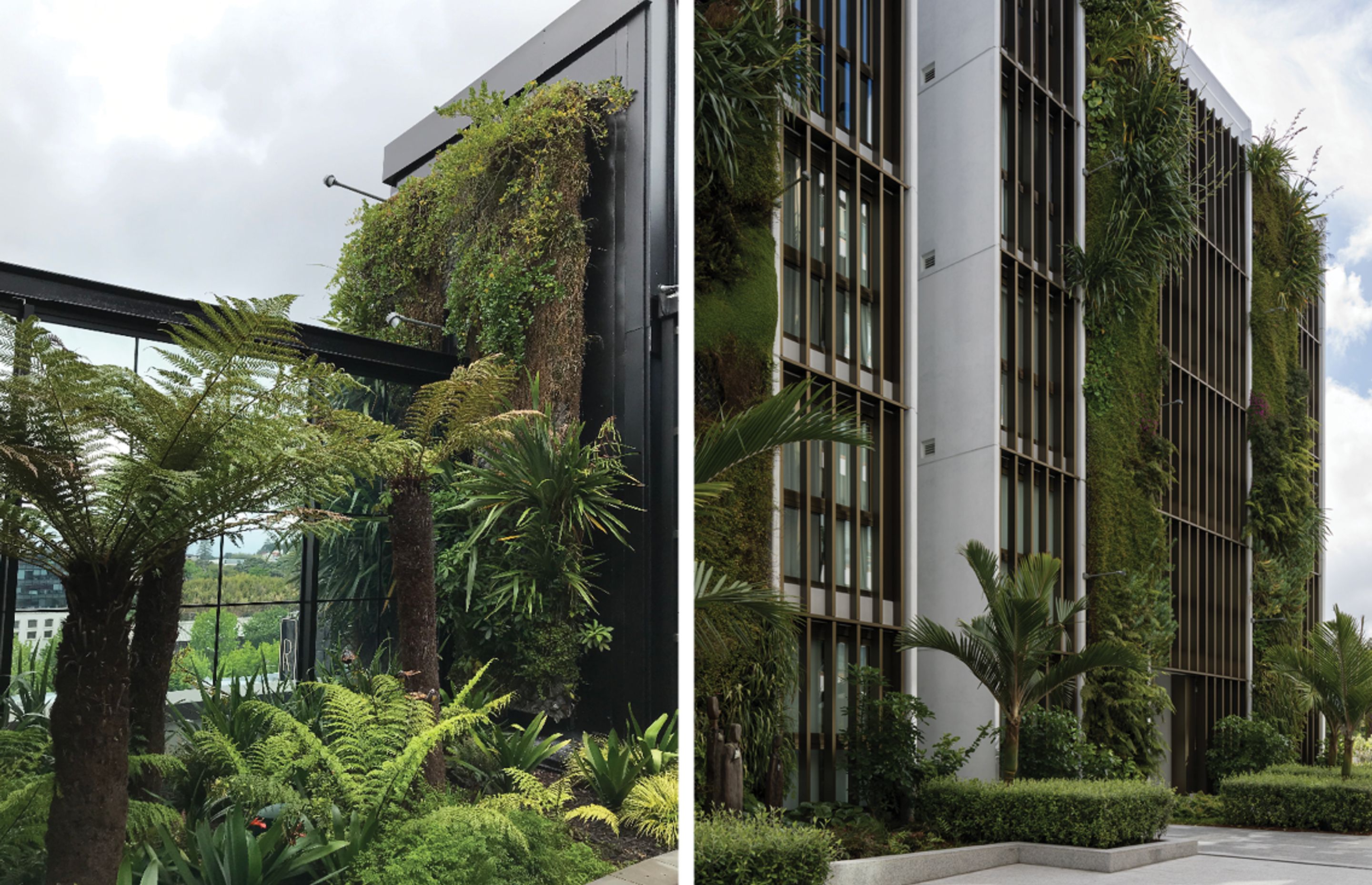 The Westfield Newmarket project (left) included 750sqm of green walls and a rooftop garden. For St Marks Apartments (right) Natural Habitats installed 110sqm of green walls, consisting of predominantly native plants, spread between three, five-storey-high