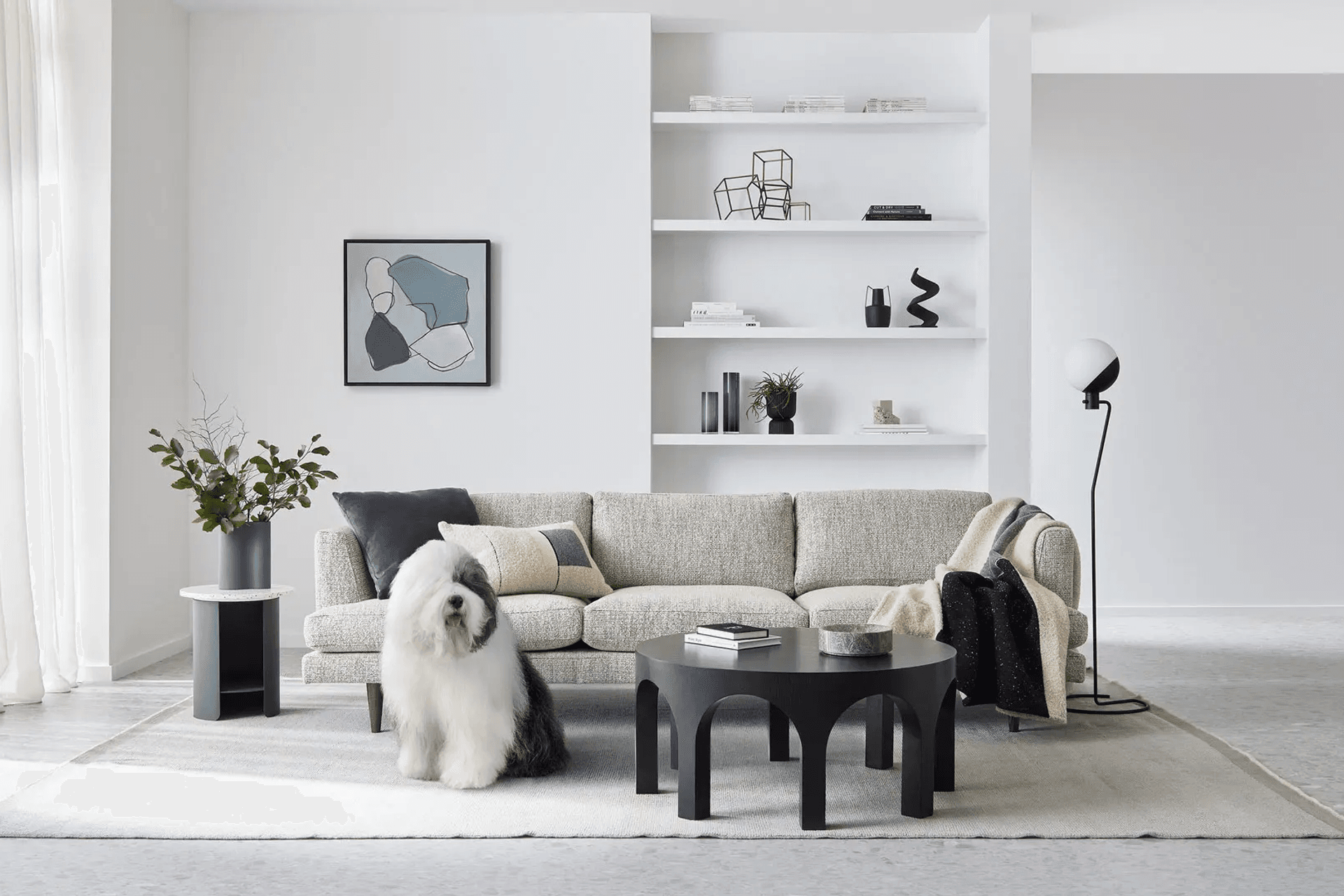 Okarito-Interior-Livingroom-LexiconQtr-Dog-Easter-Campaign-v3.png